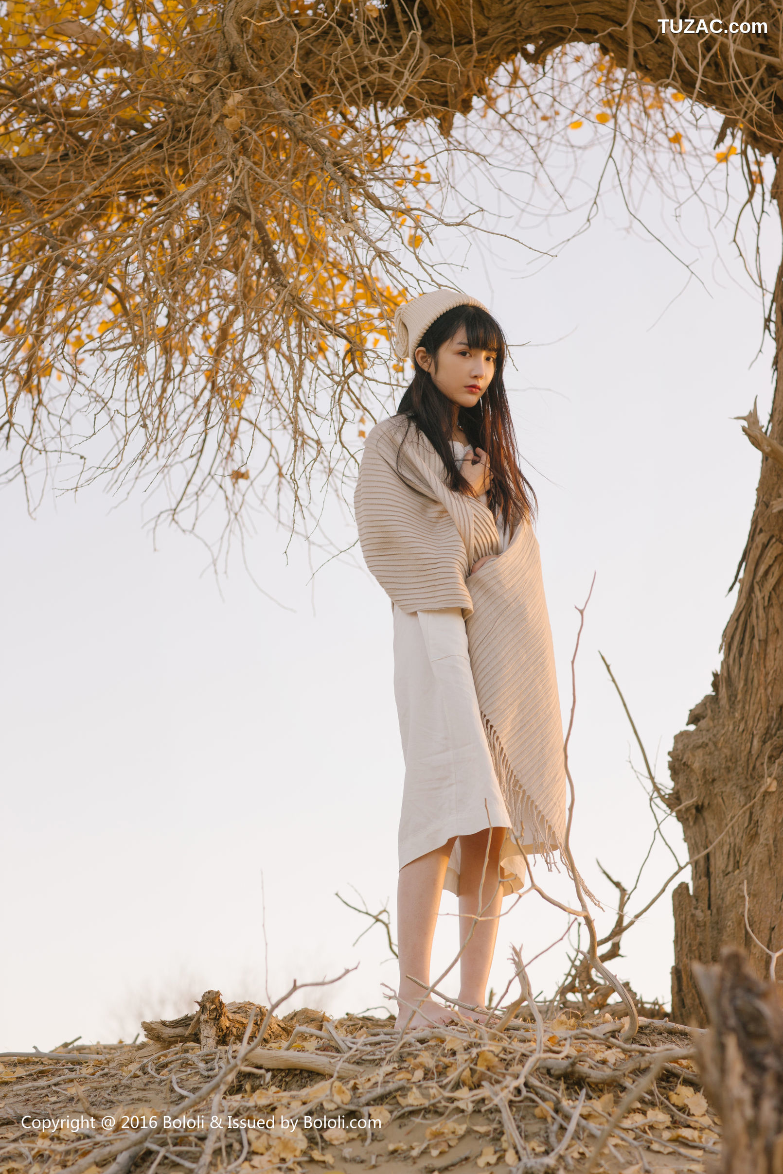 Kimoe激萌文化-009-王之应《沙漠之应》