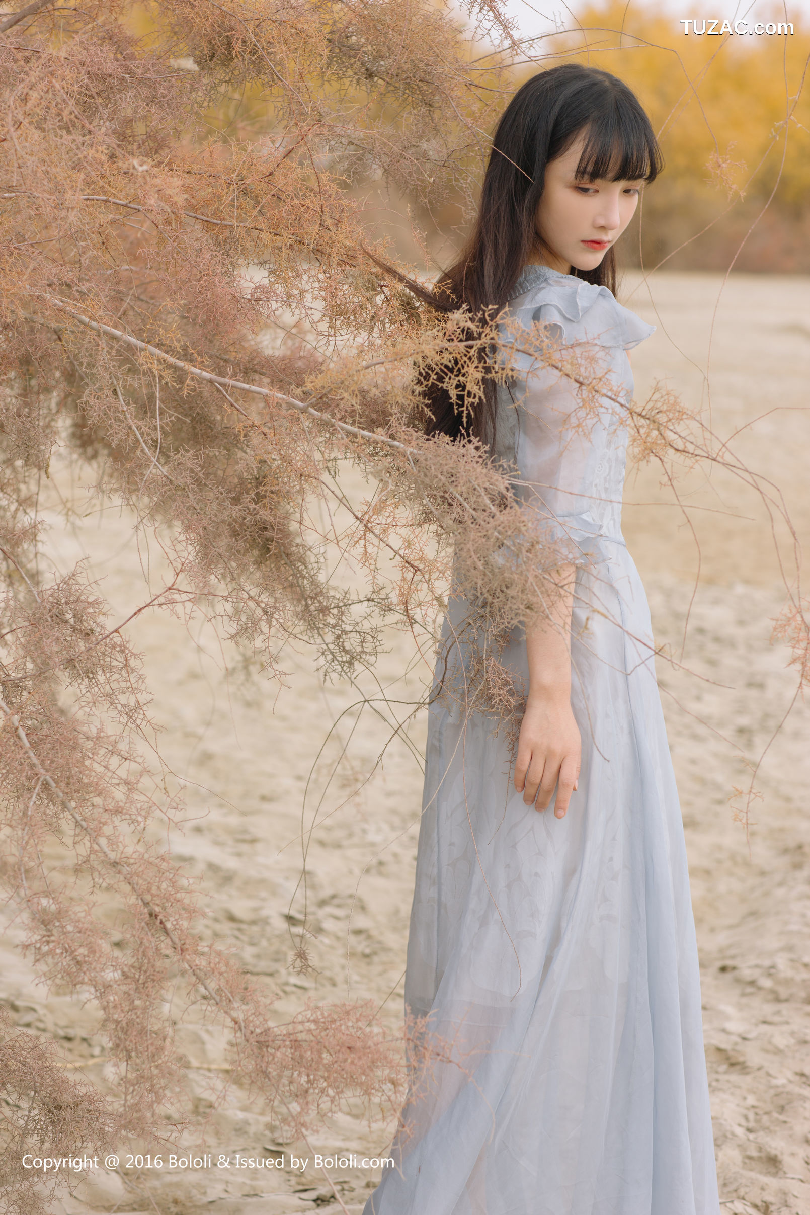 Kimoe激萌文化-011-王之应《沙漠仙女之应―沙漠之旅》