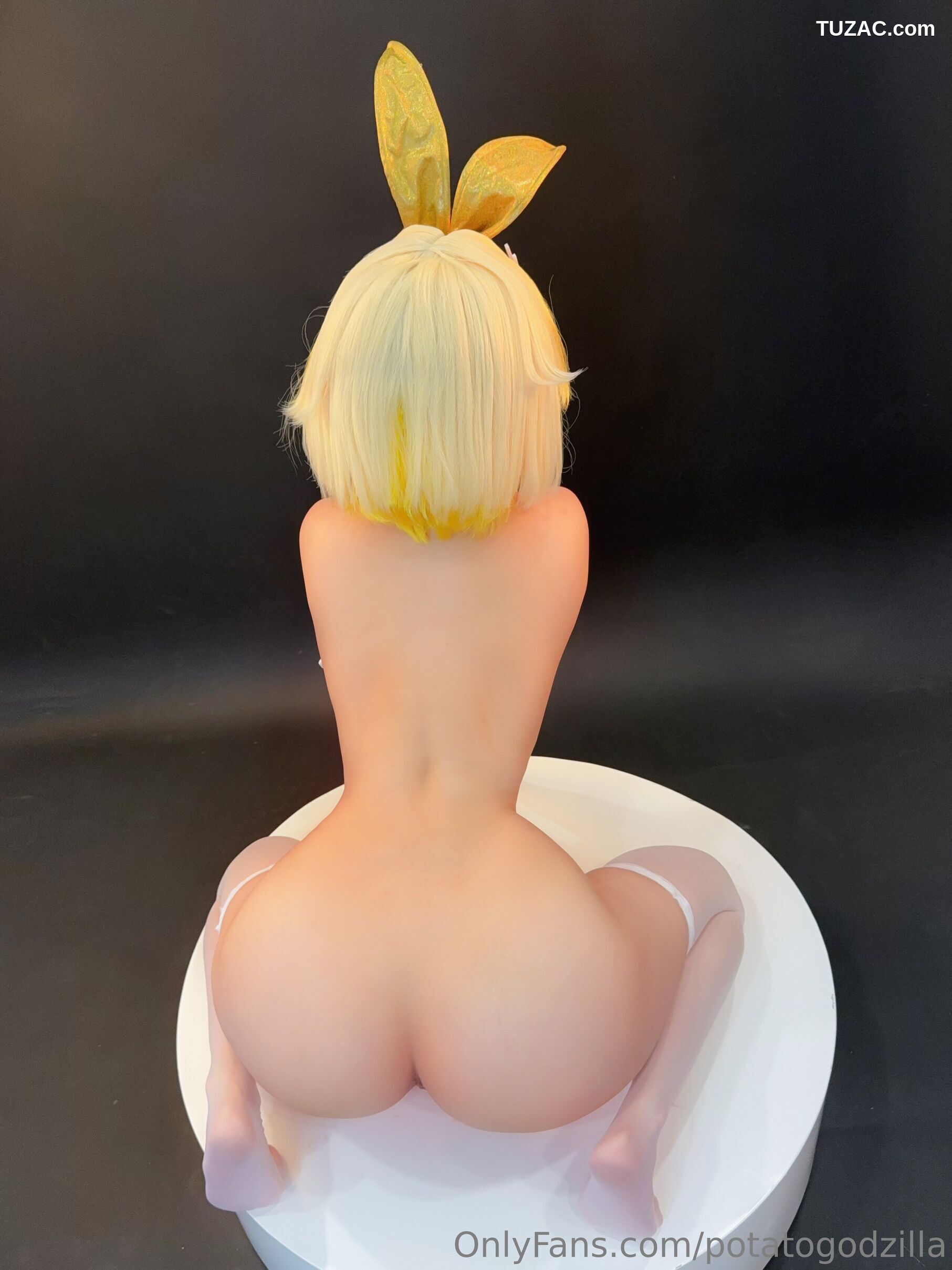 Potato-Godzilla-Elegg-Bunny-Suit-胜利女神-妮姬-兔女郎装
