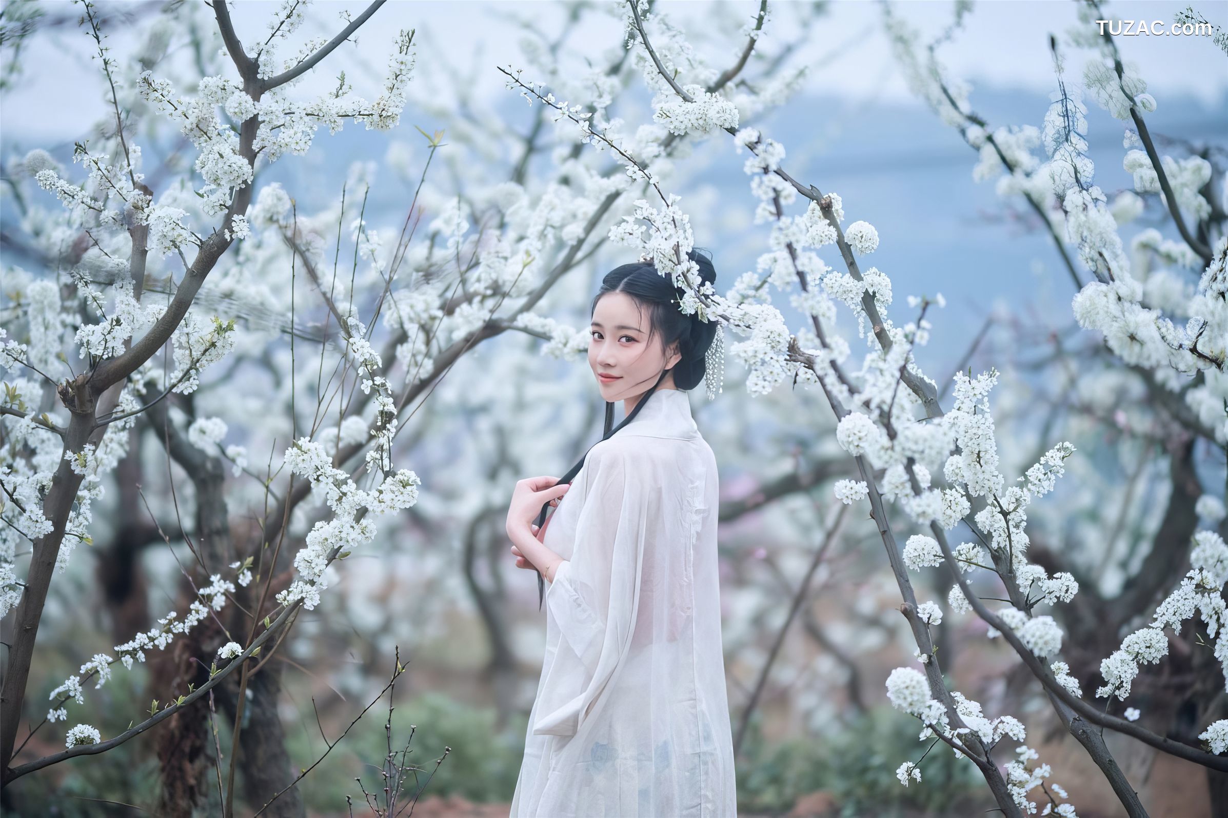 年年-三月榕-March-Banyan-Tree