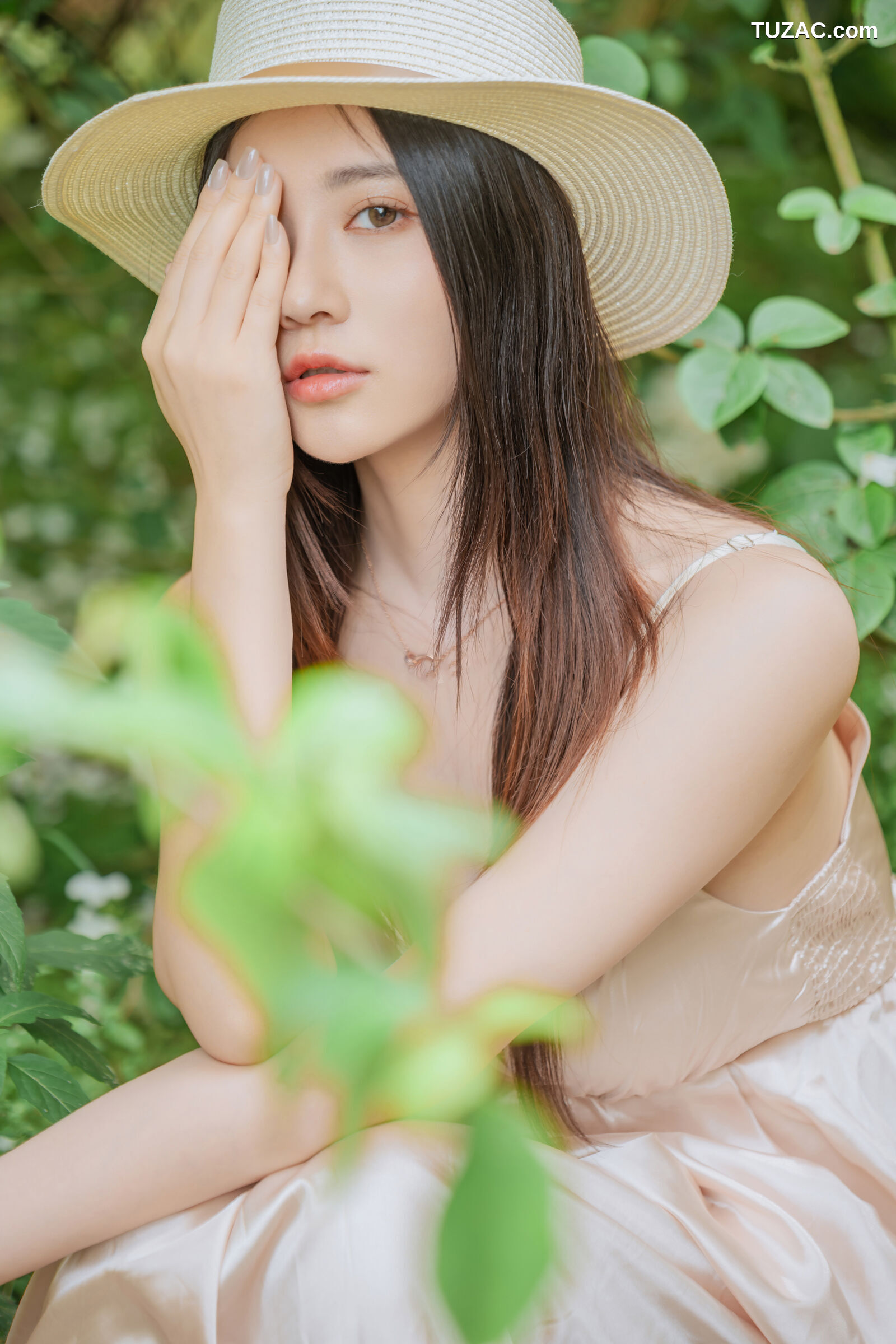 年年-木绣球