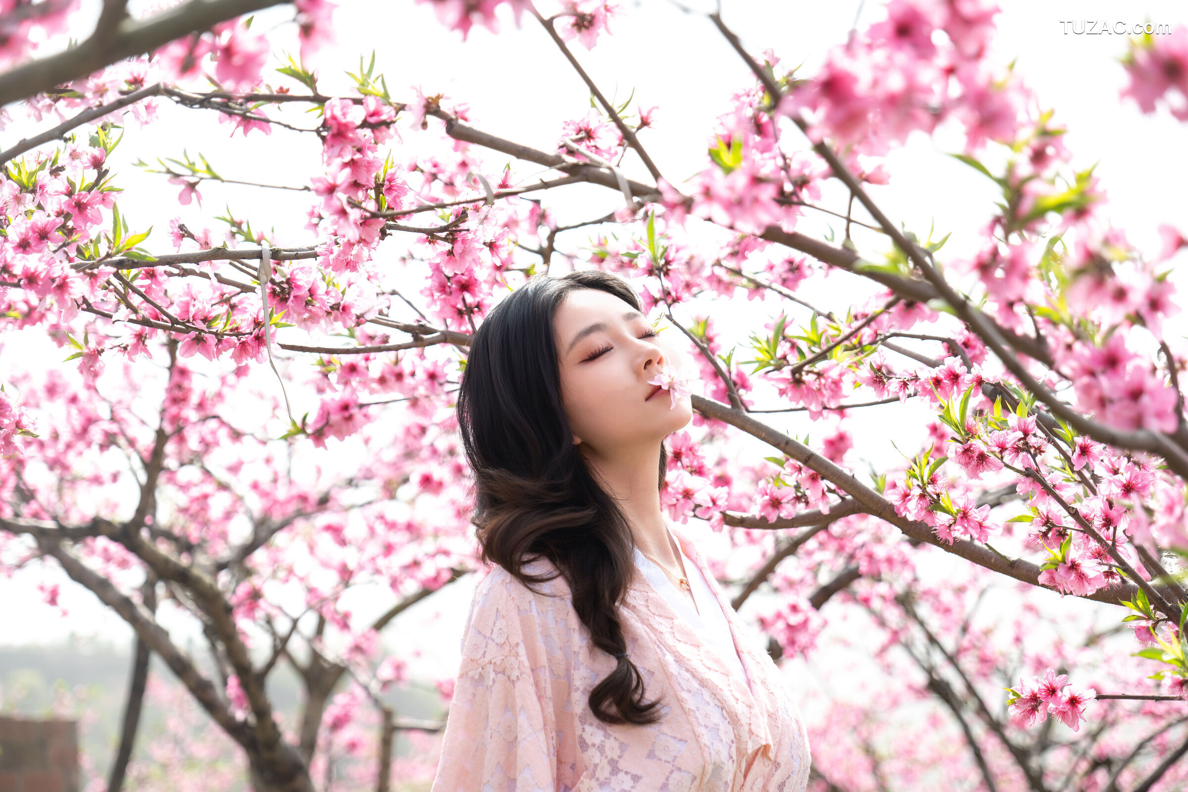 年年-漫花