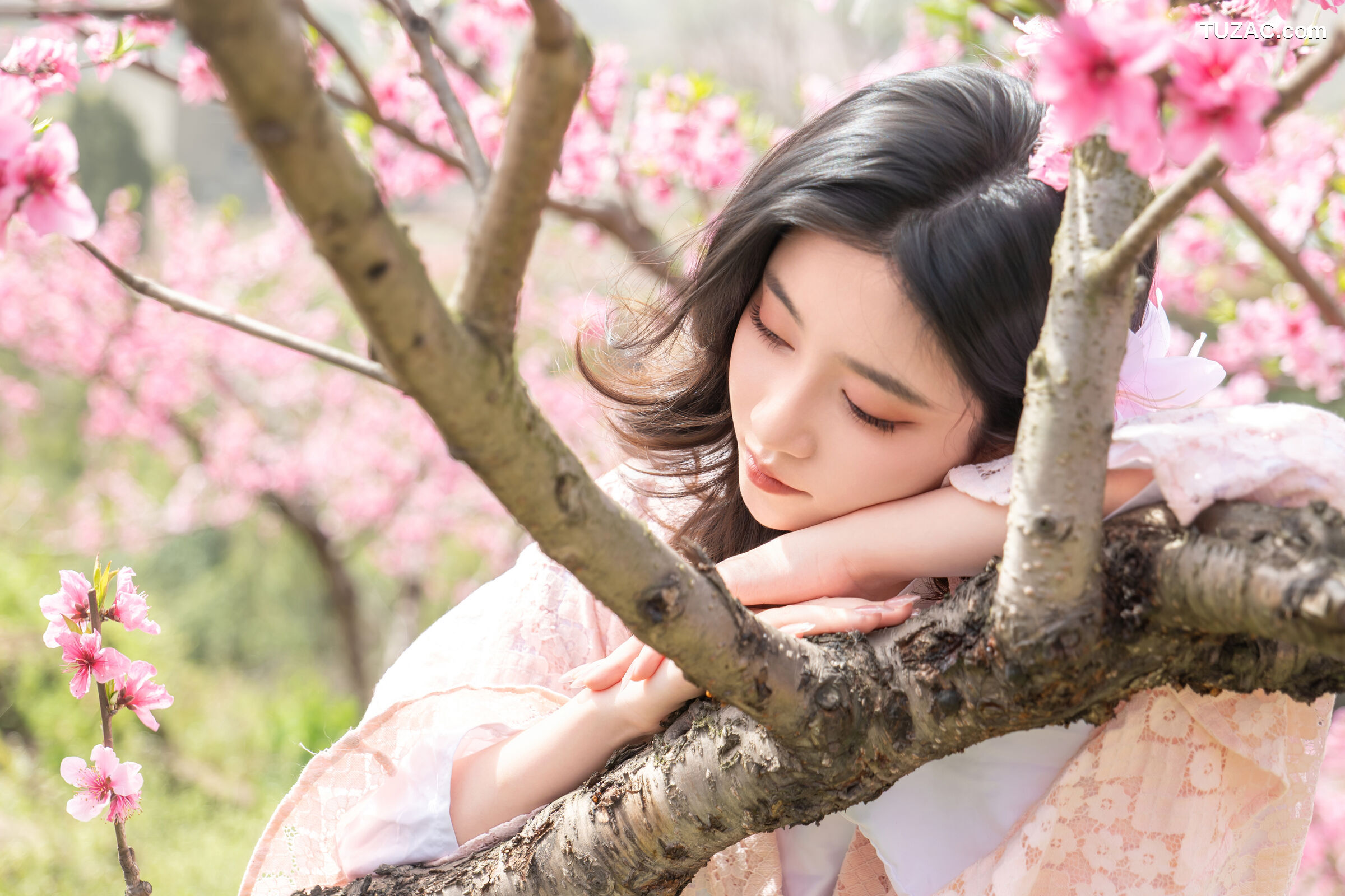 年年-漫花