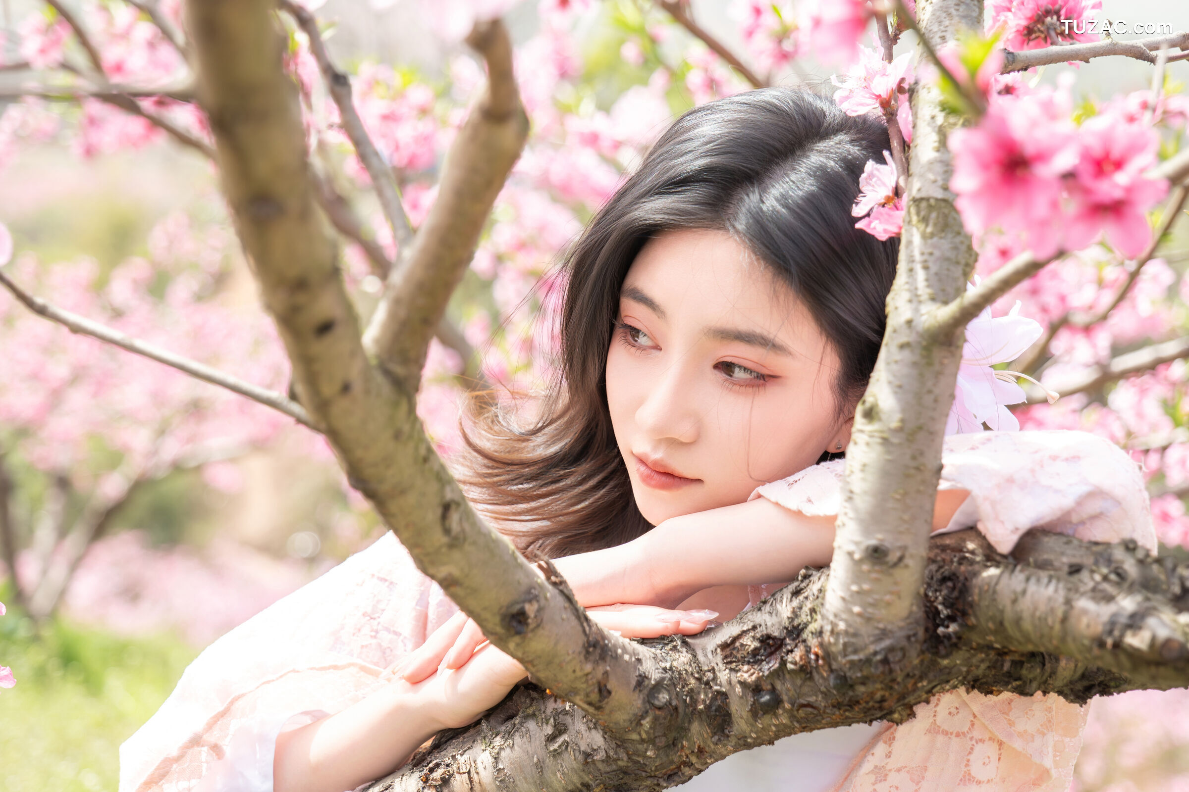 年年-漫花