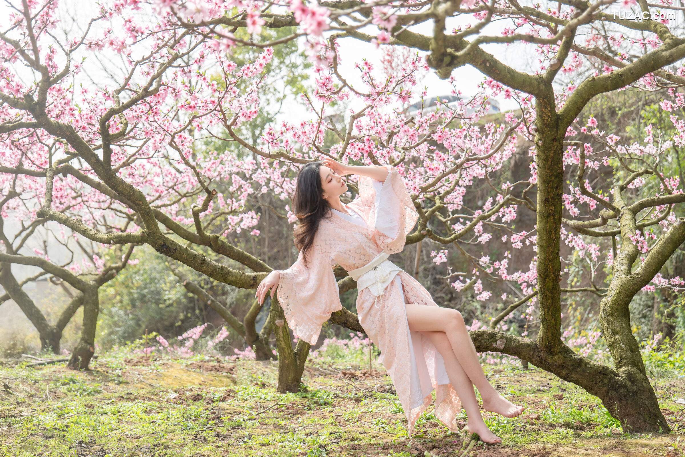 年年-漫花
