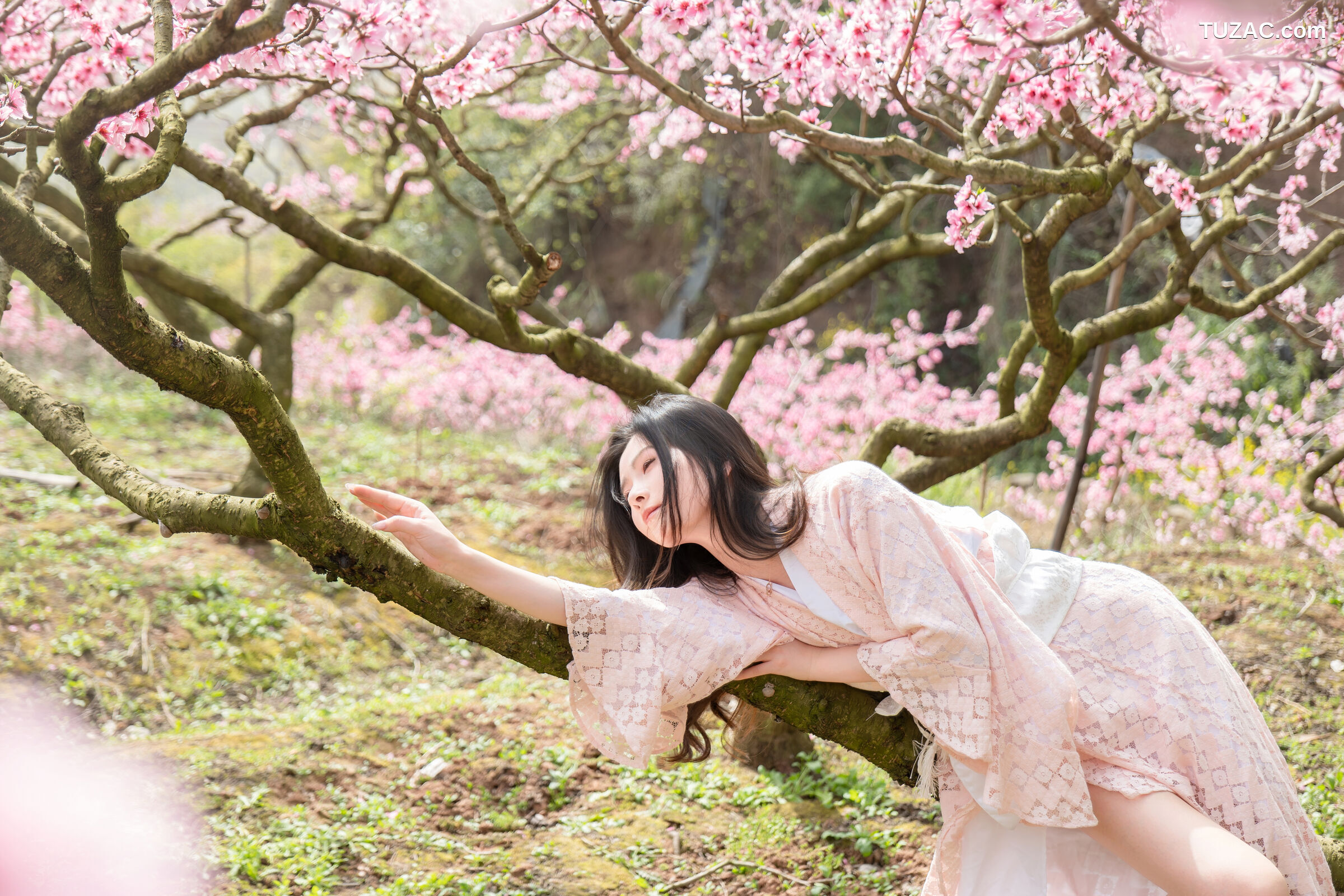 年年-漫花