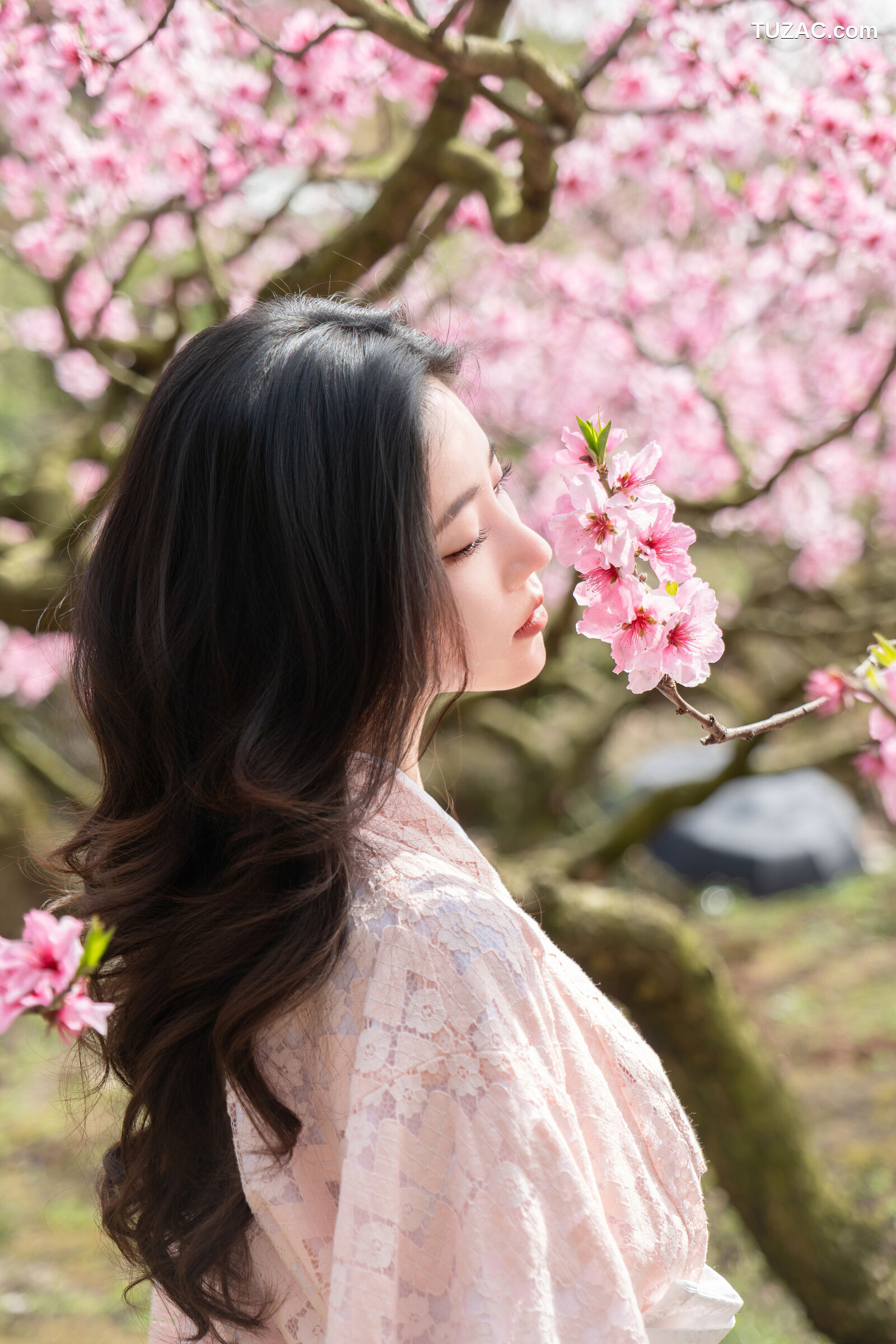 年年-漫花