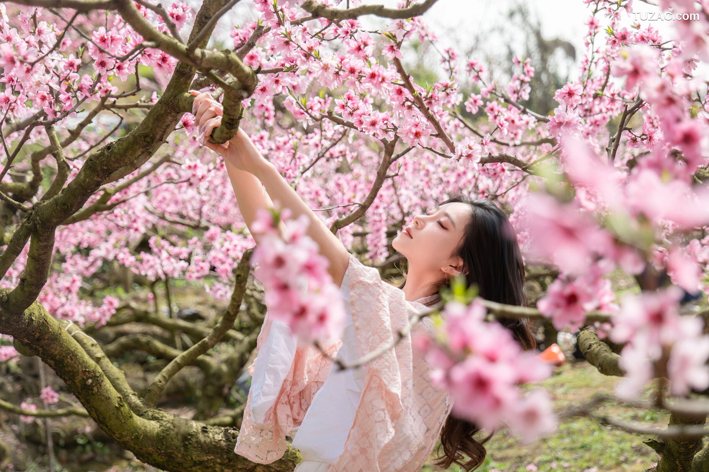 年年-漫花