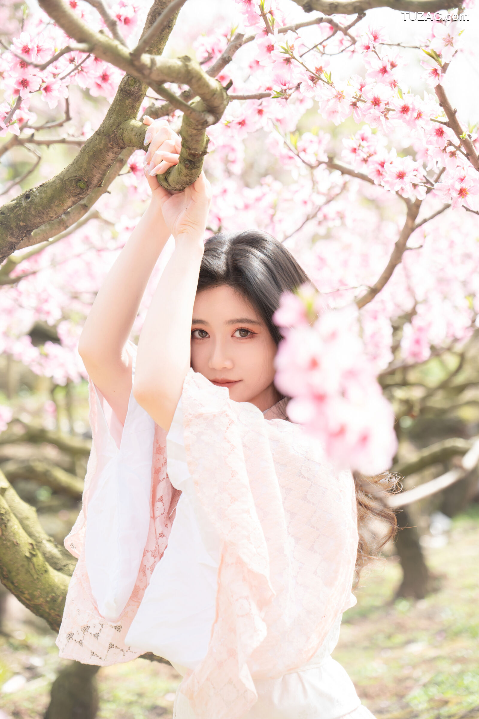 年年-漫花