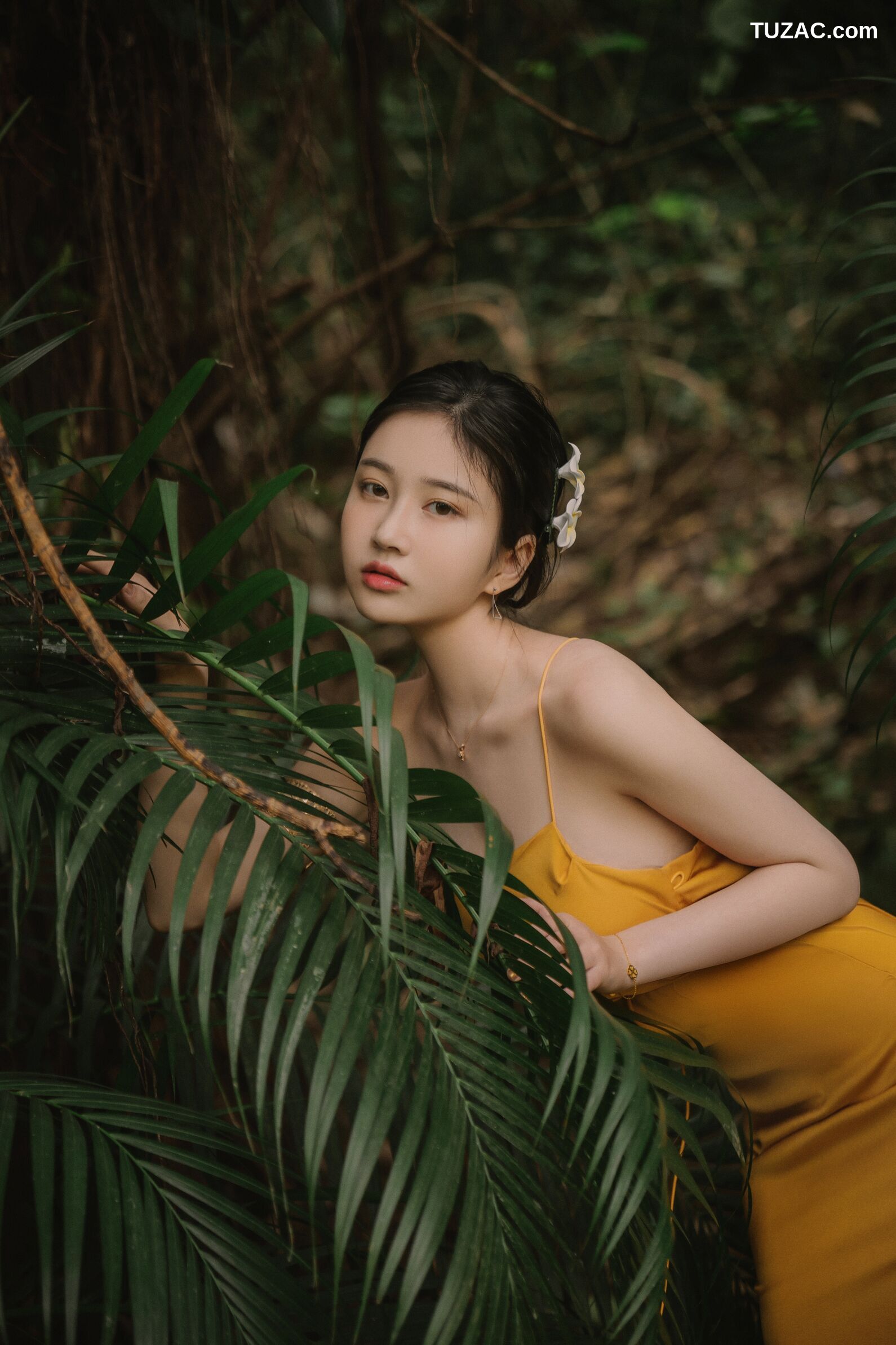 年年-蒹葭