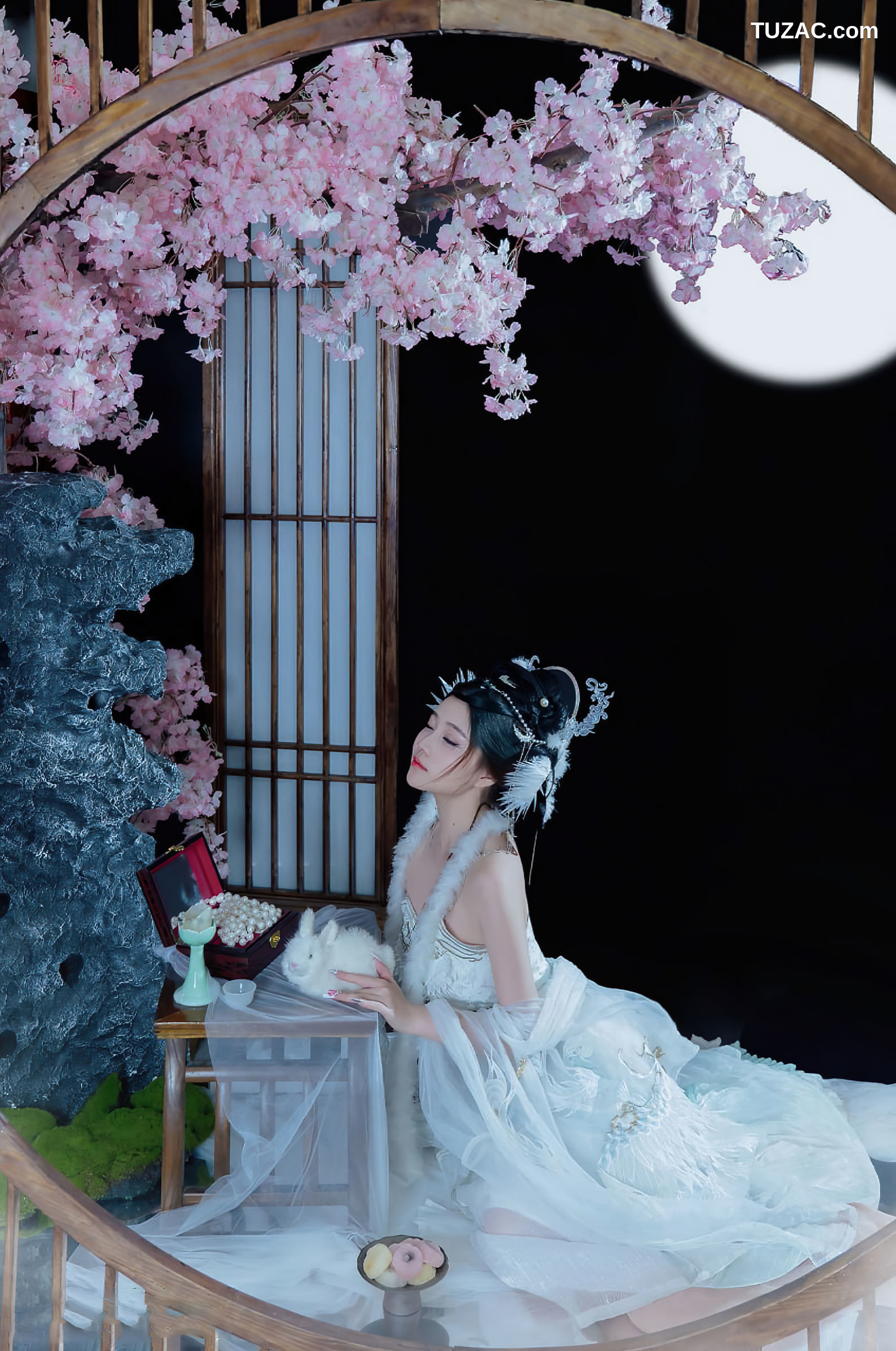 年年Nnian-嫦娥仙子