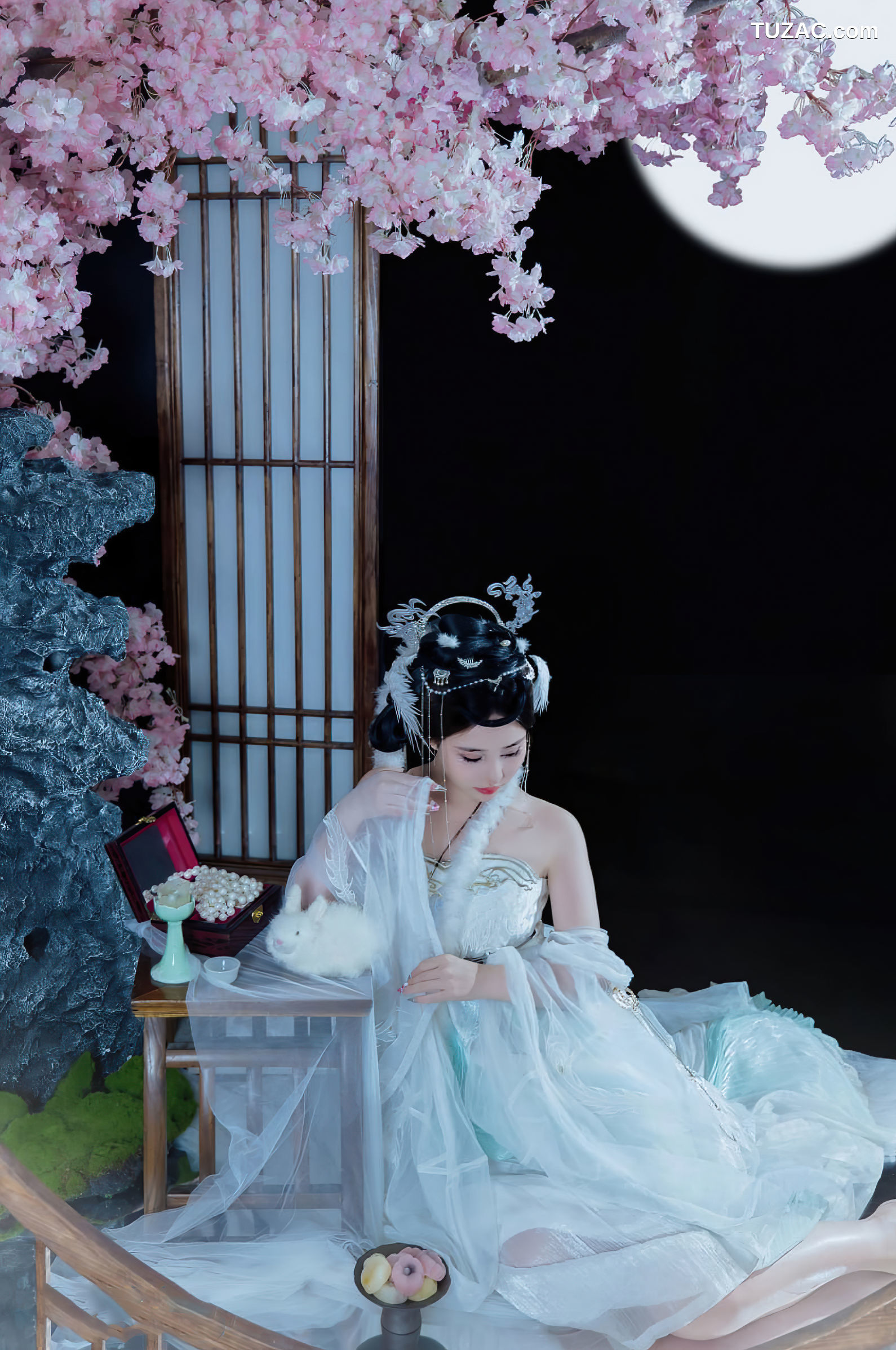 年年Nnian-嫦娥仙子