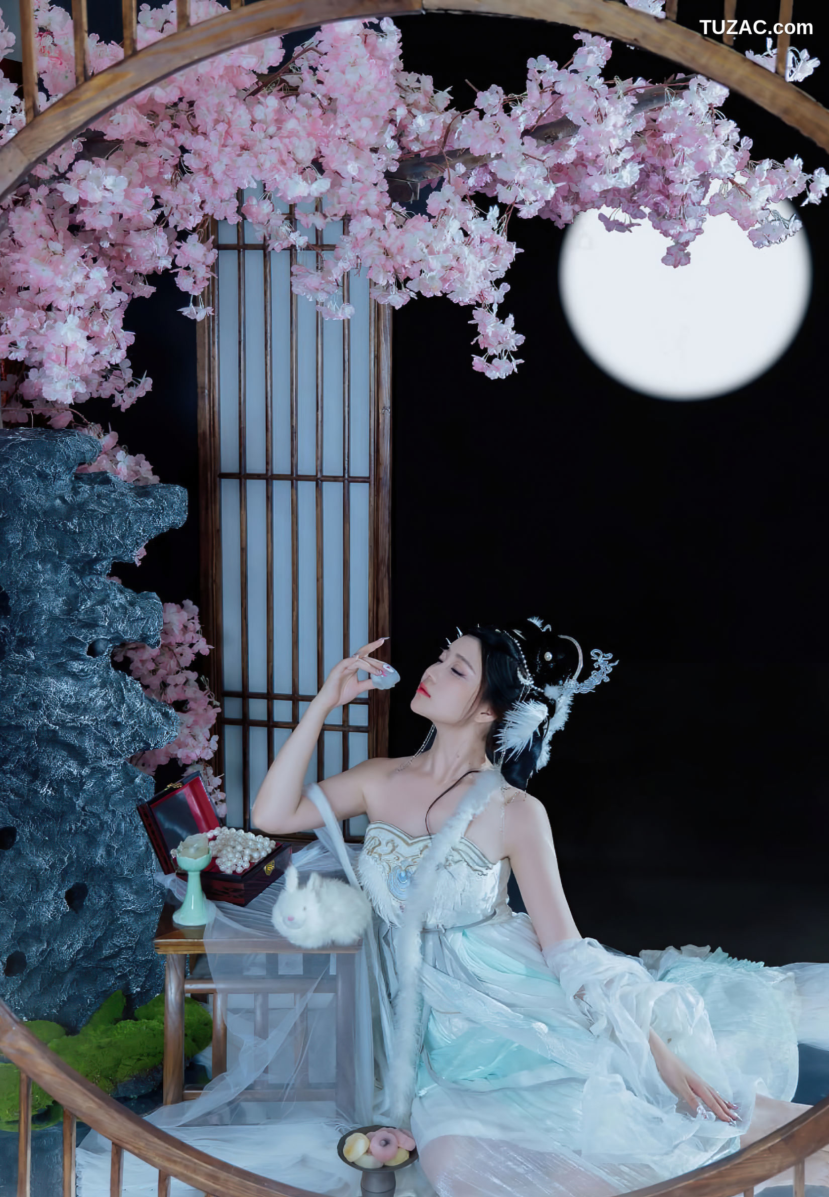 年年Nnian-嫦娥仙子