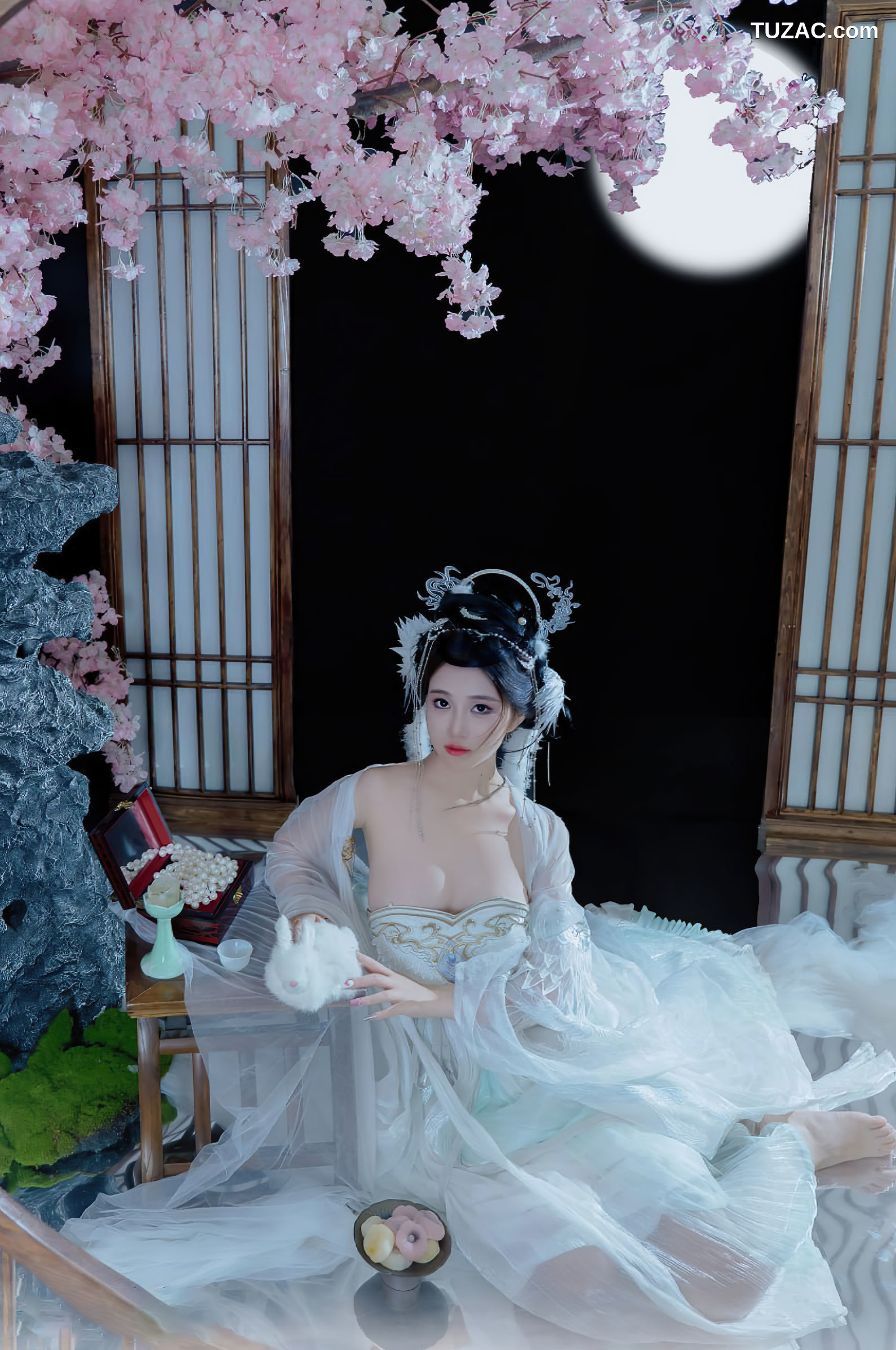 年年Nnian-嫦娥仙子