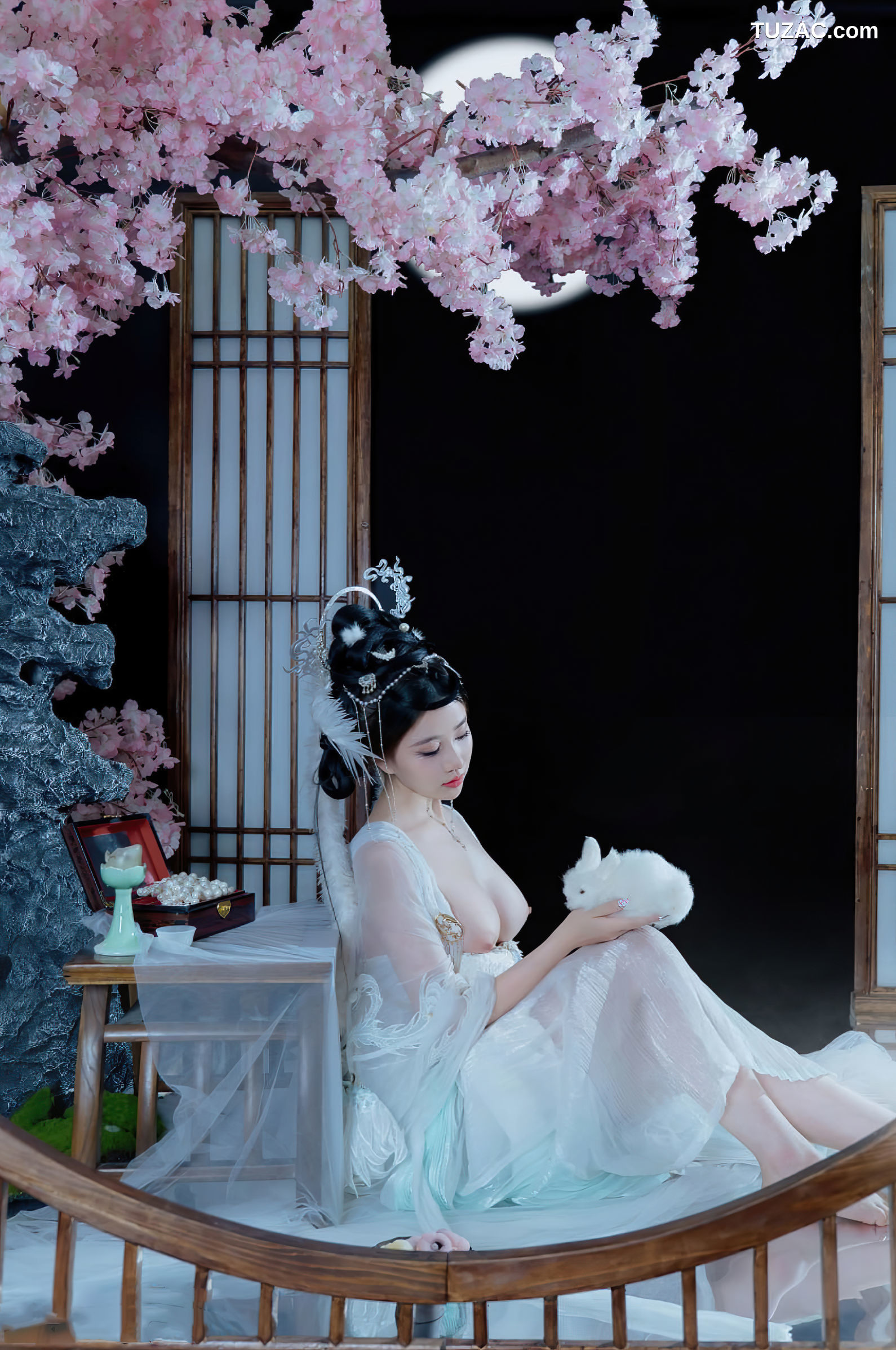 年年Nnian-嫦娥仙子