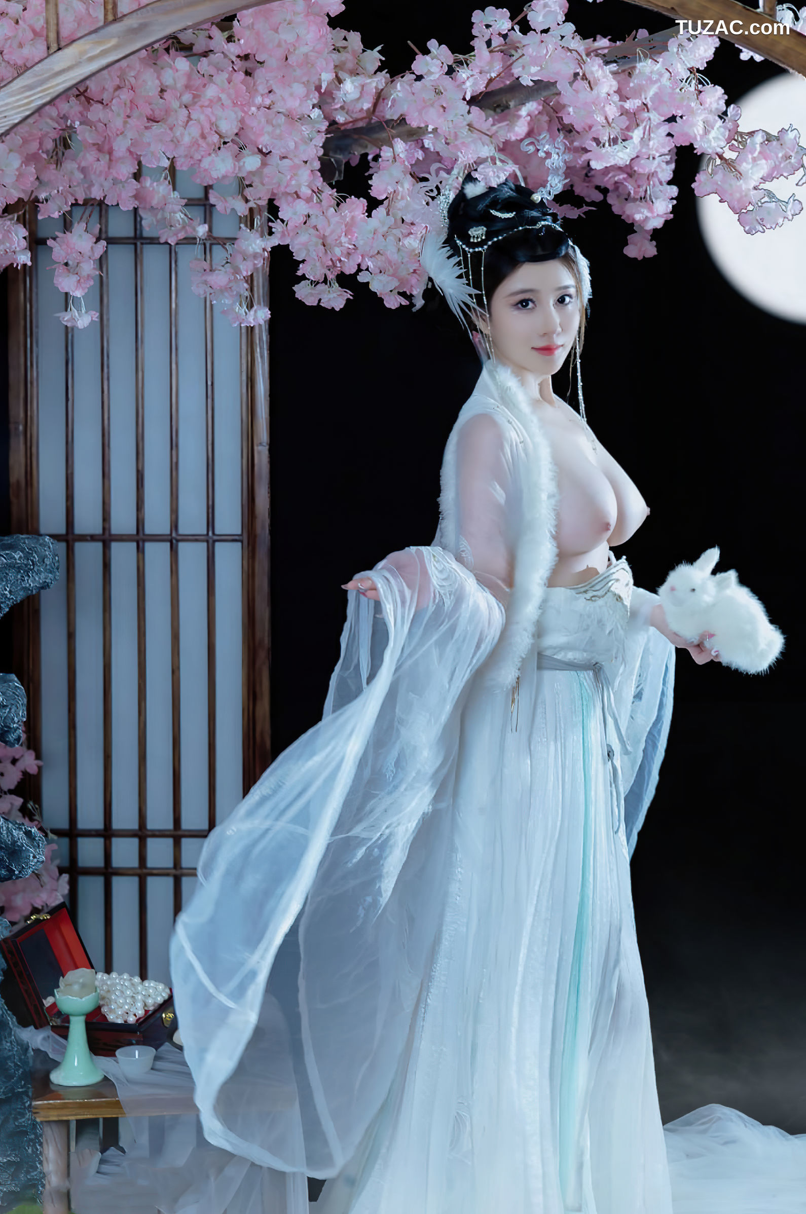 年年Nnian-嫦娥仙子