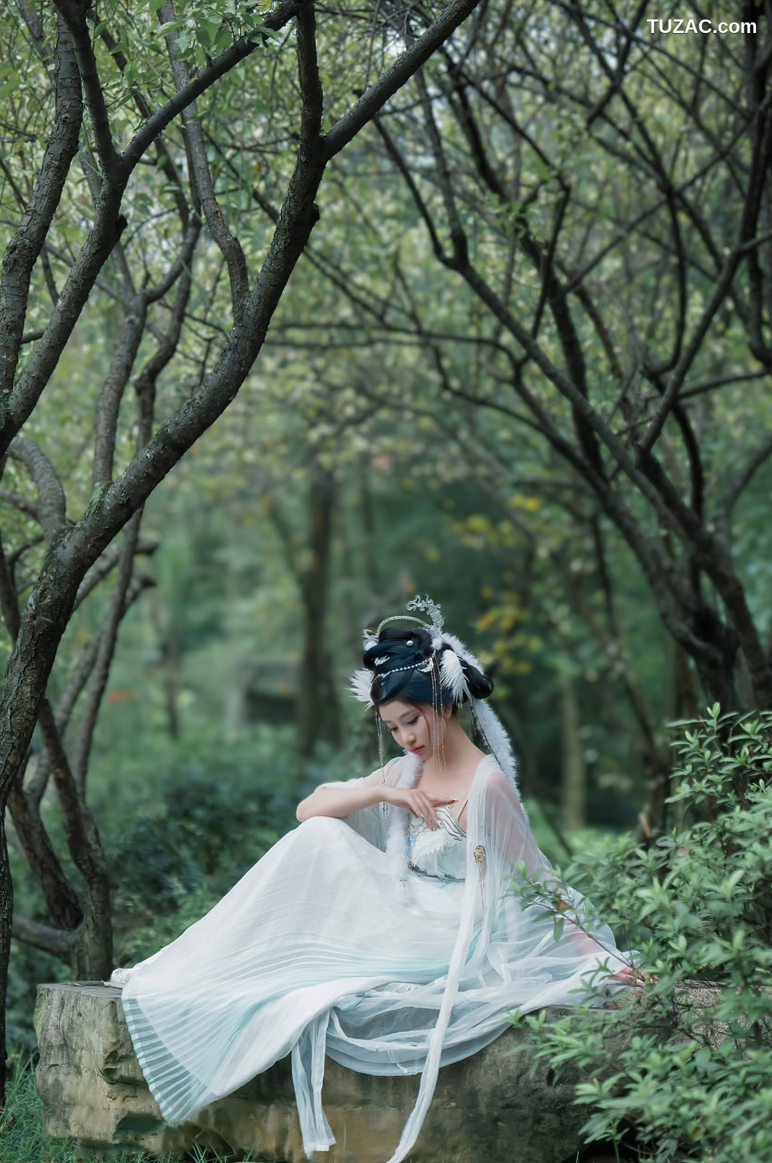 年年Nnian-嫦娥仙子