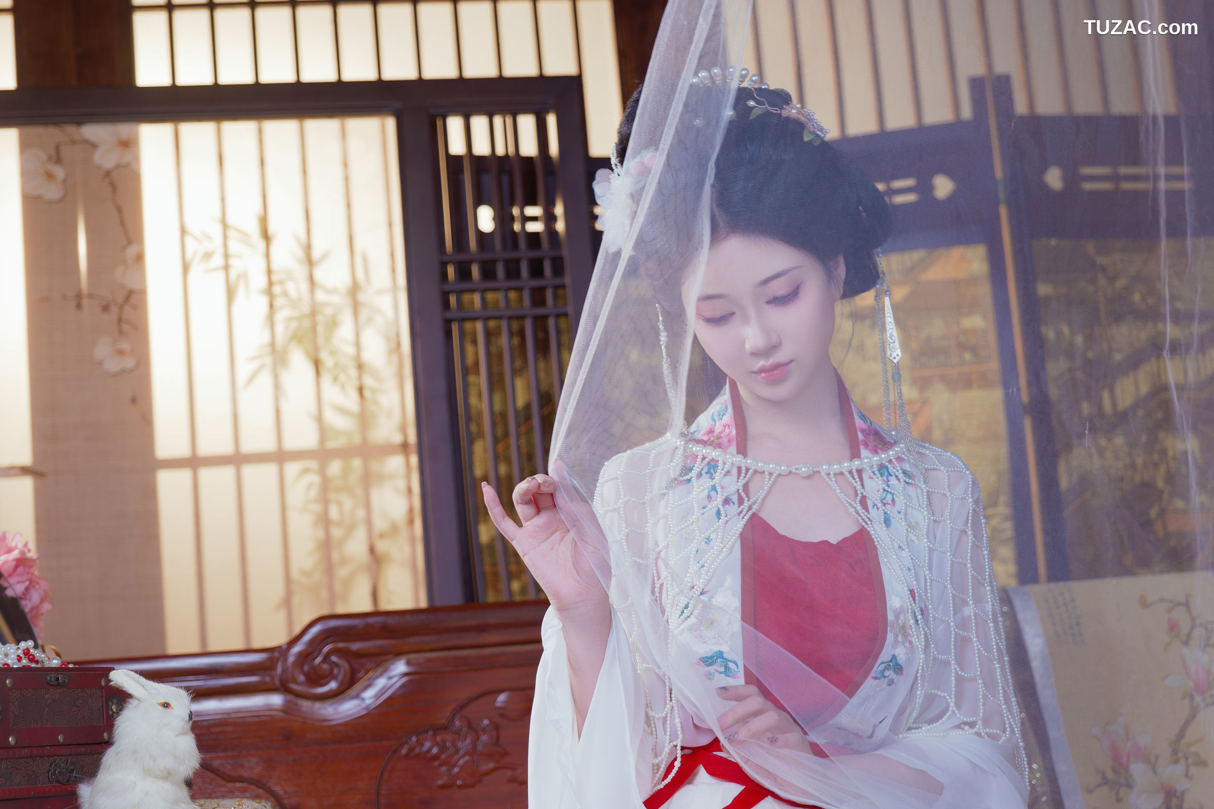 年年Nnian-广寒宫