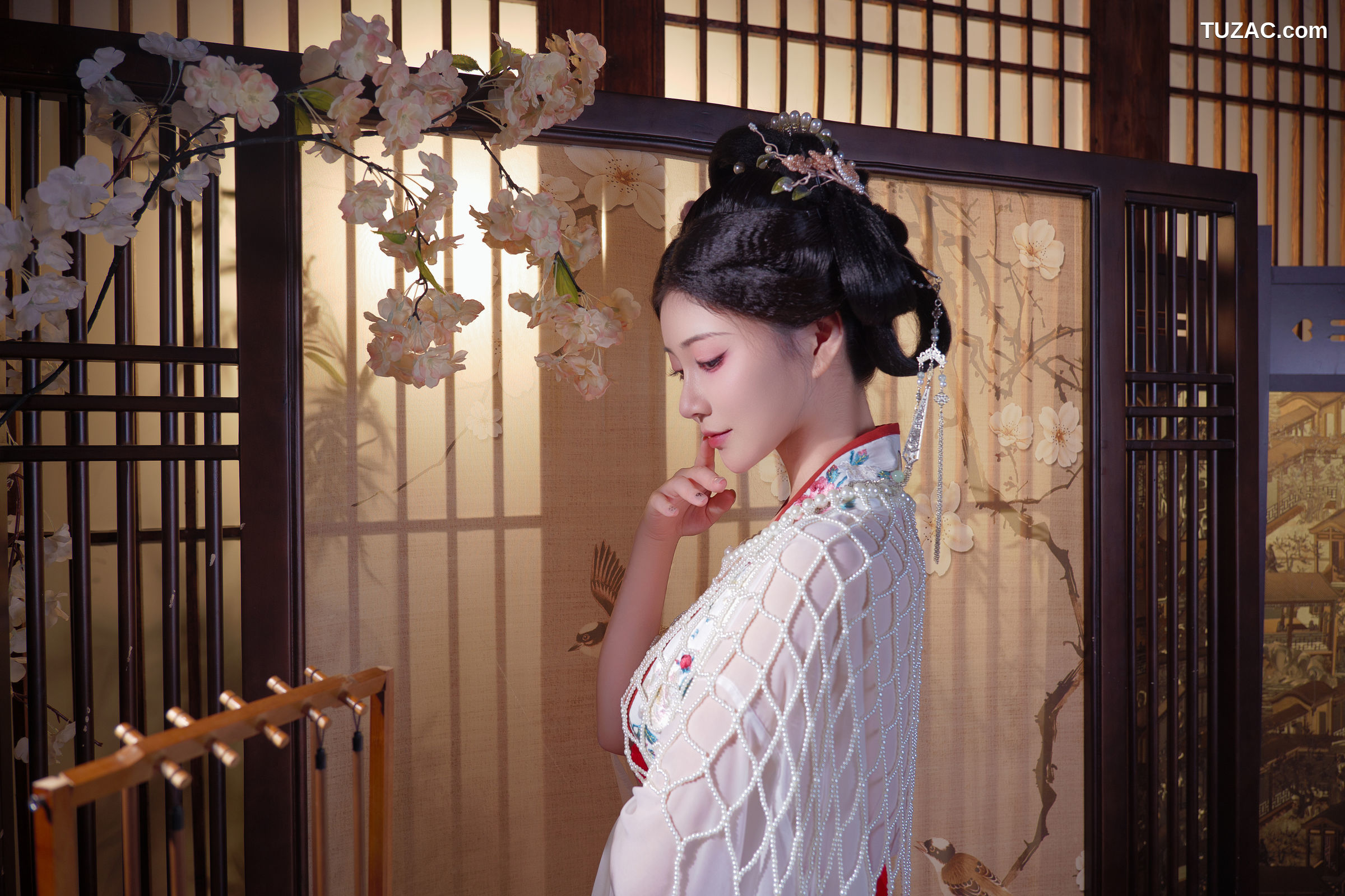 年年Nnian-广寒宫