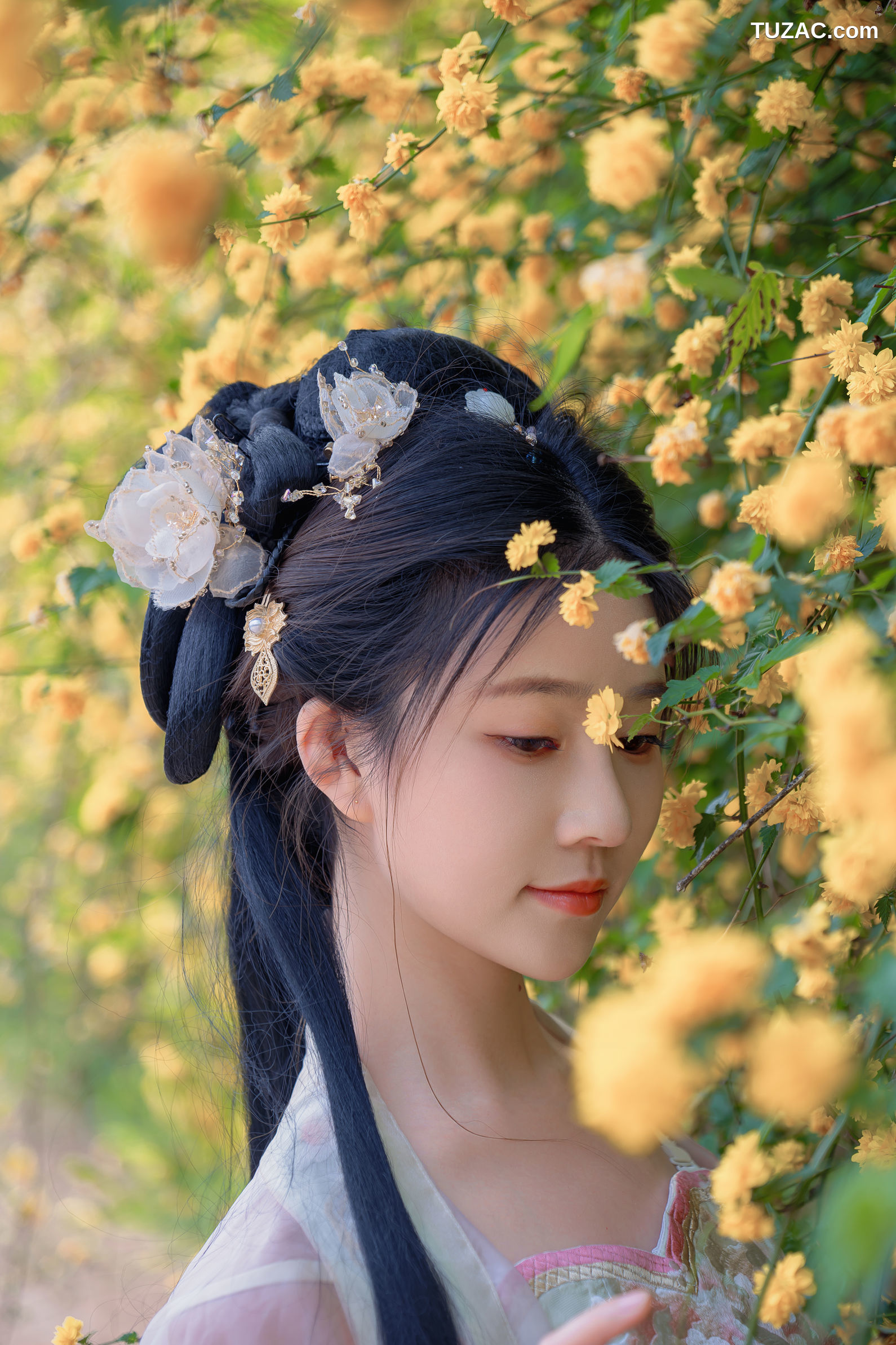 年年Nnian-海棠仙