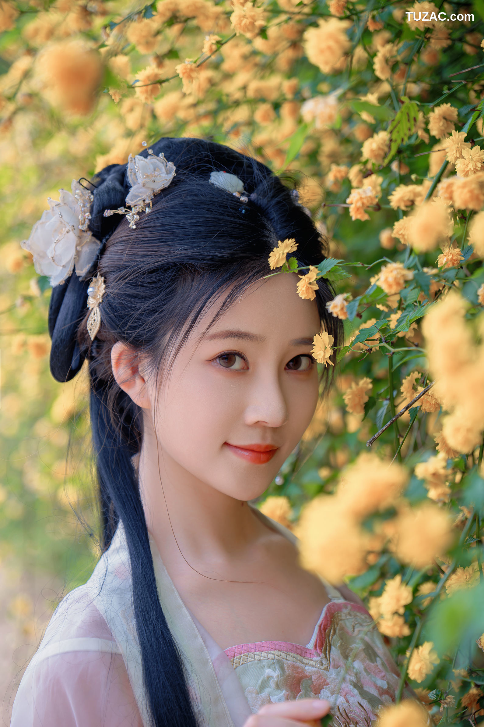 年年Nnian-海棠仙