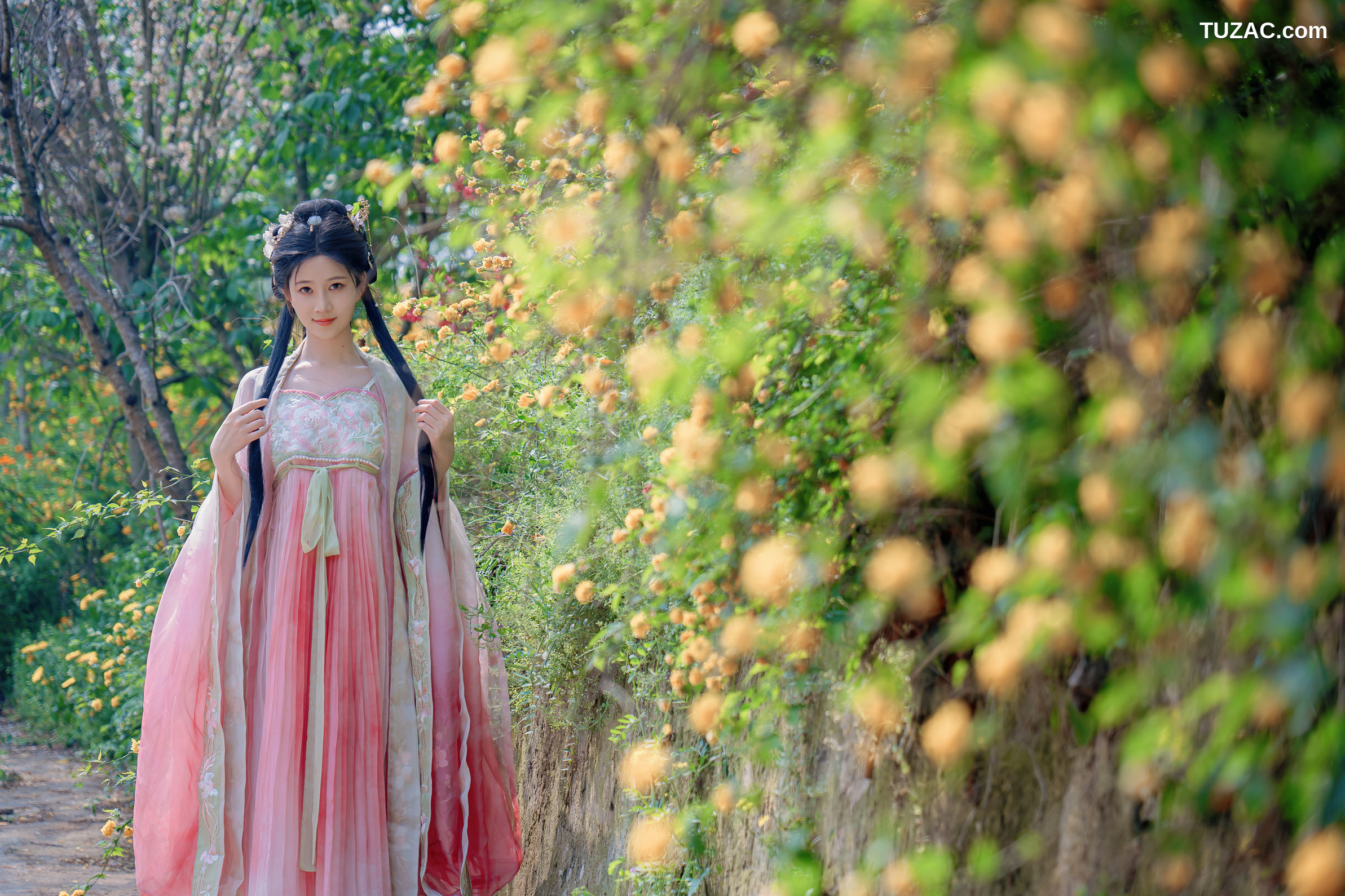 年年Nnian-海棠仙