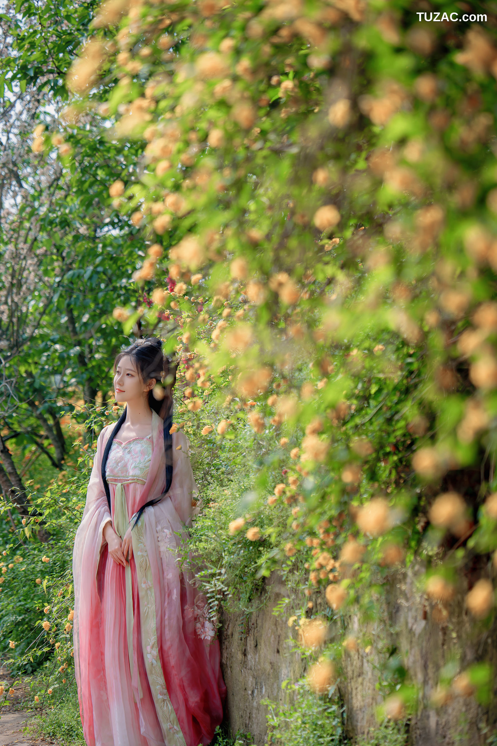 年年Nnian-海棠仙