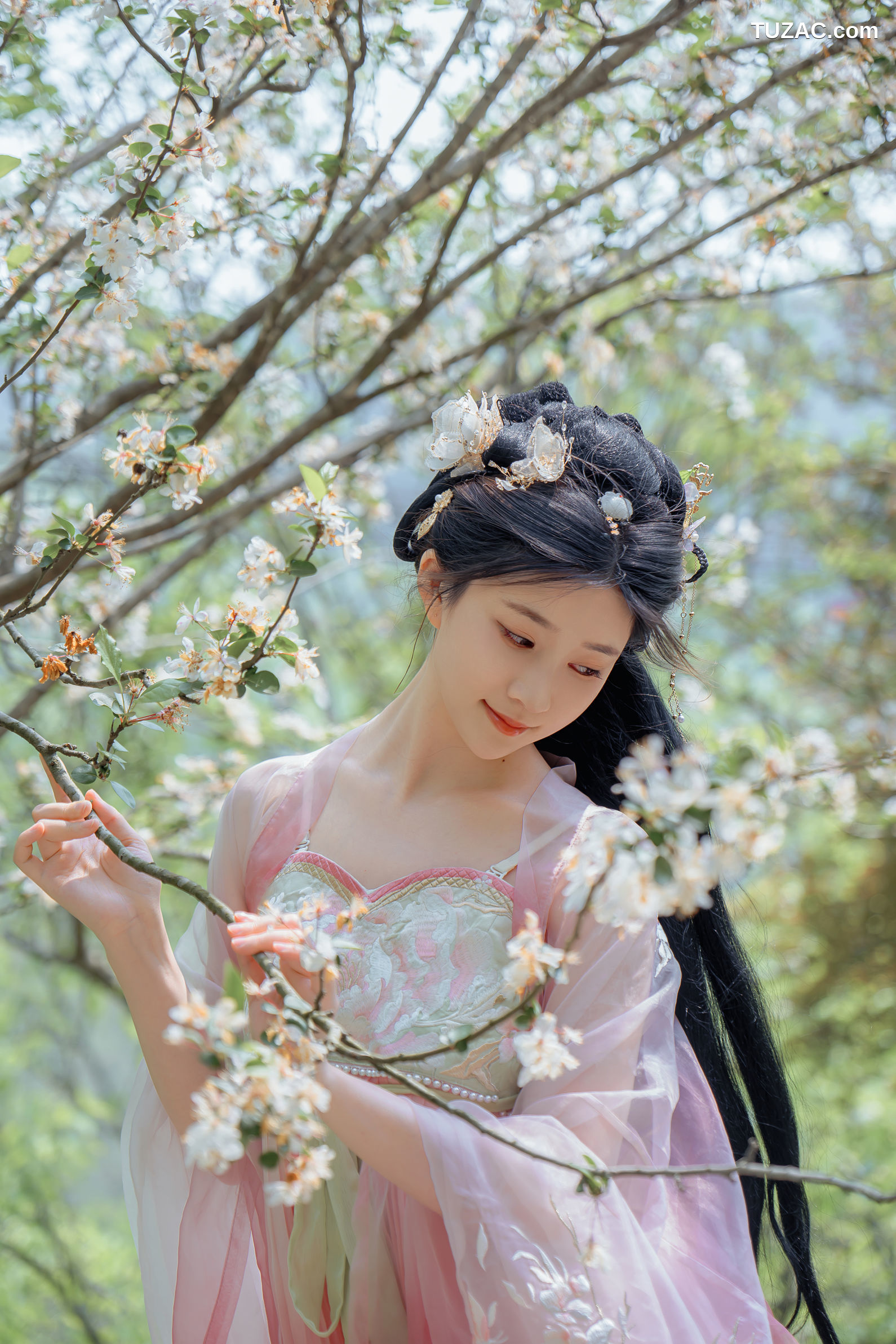 年年Nnian-海棠仙