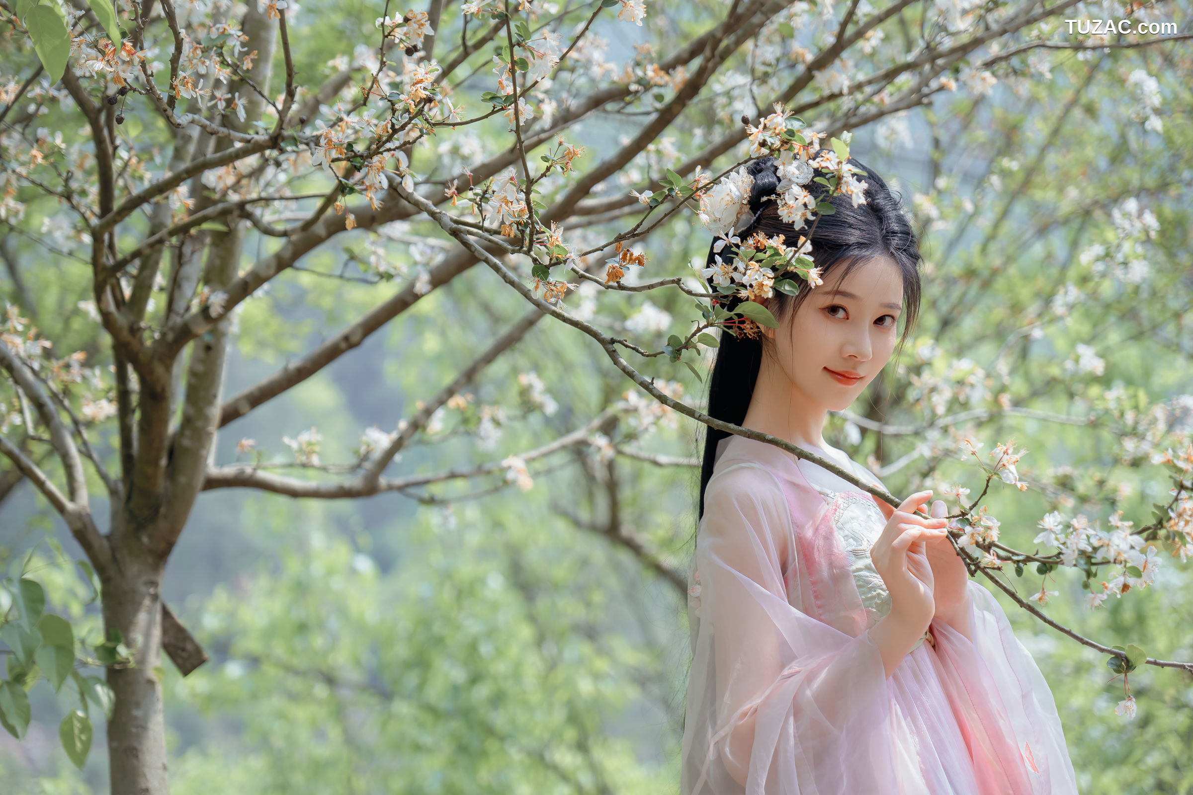 年年Nnian-海棠仙