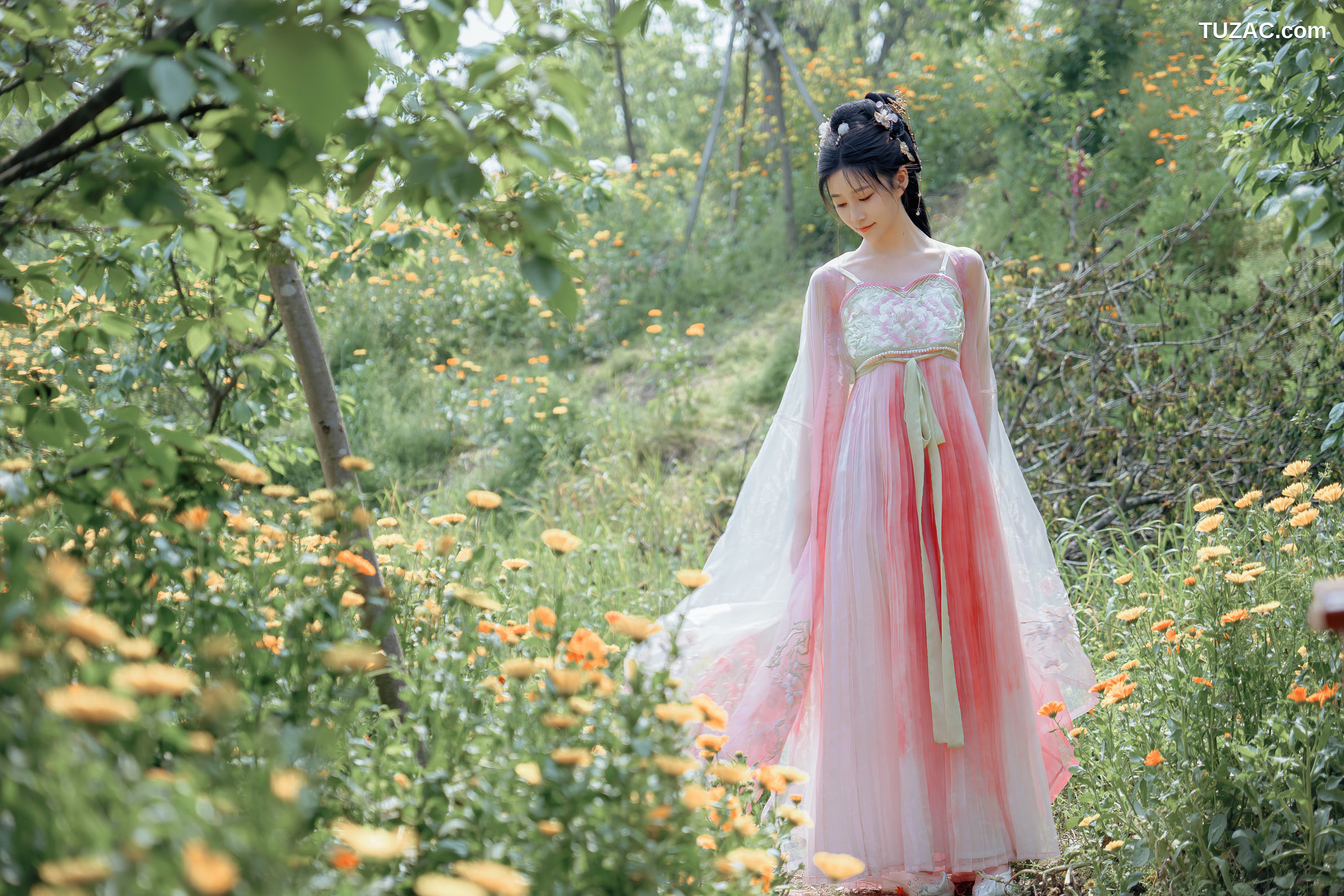 年年Nnian-海棠仙