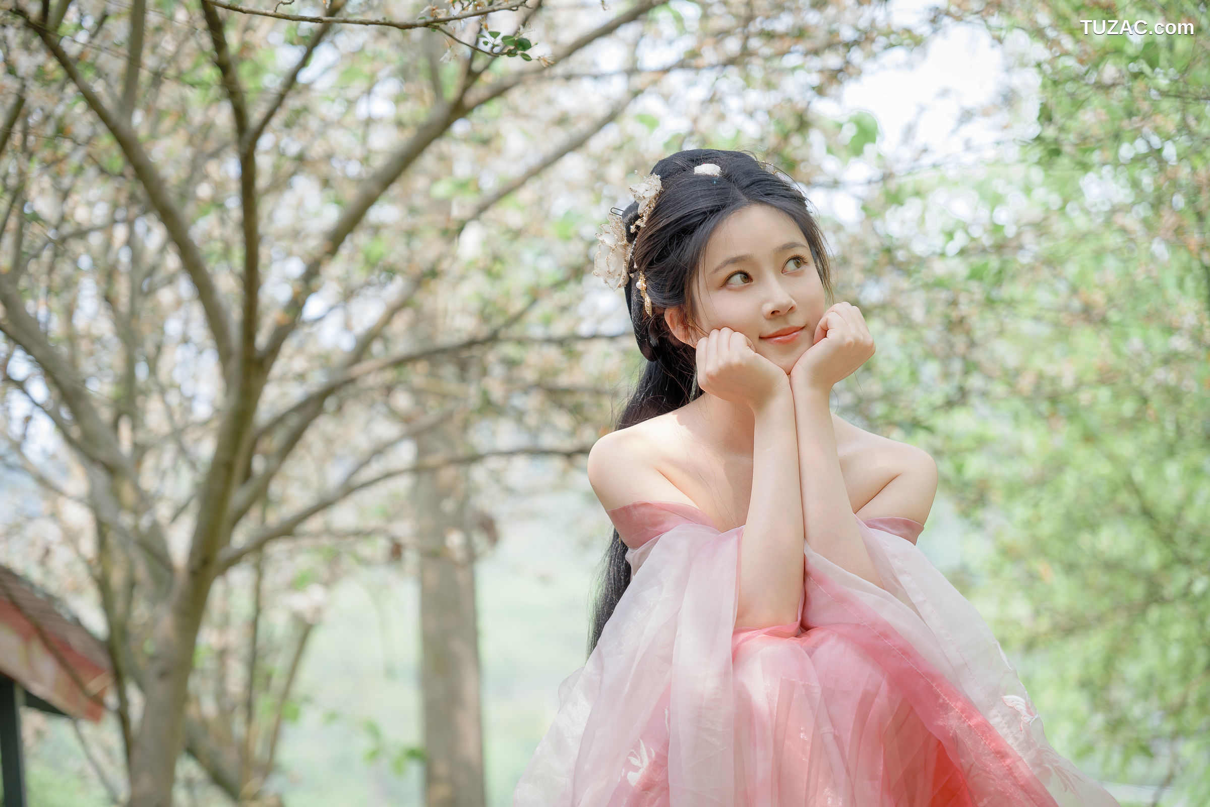 年年Nnian-海棠仙