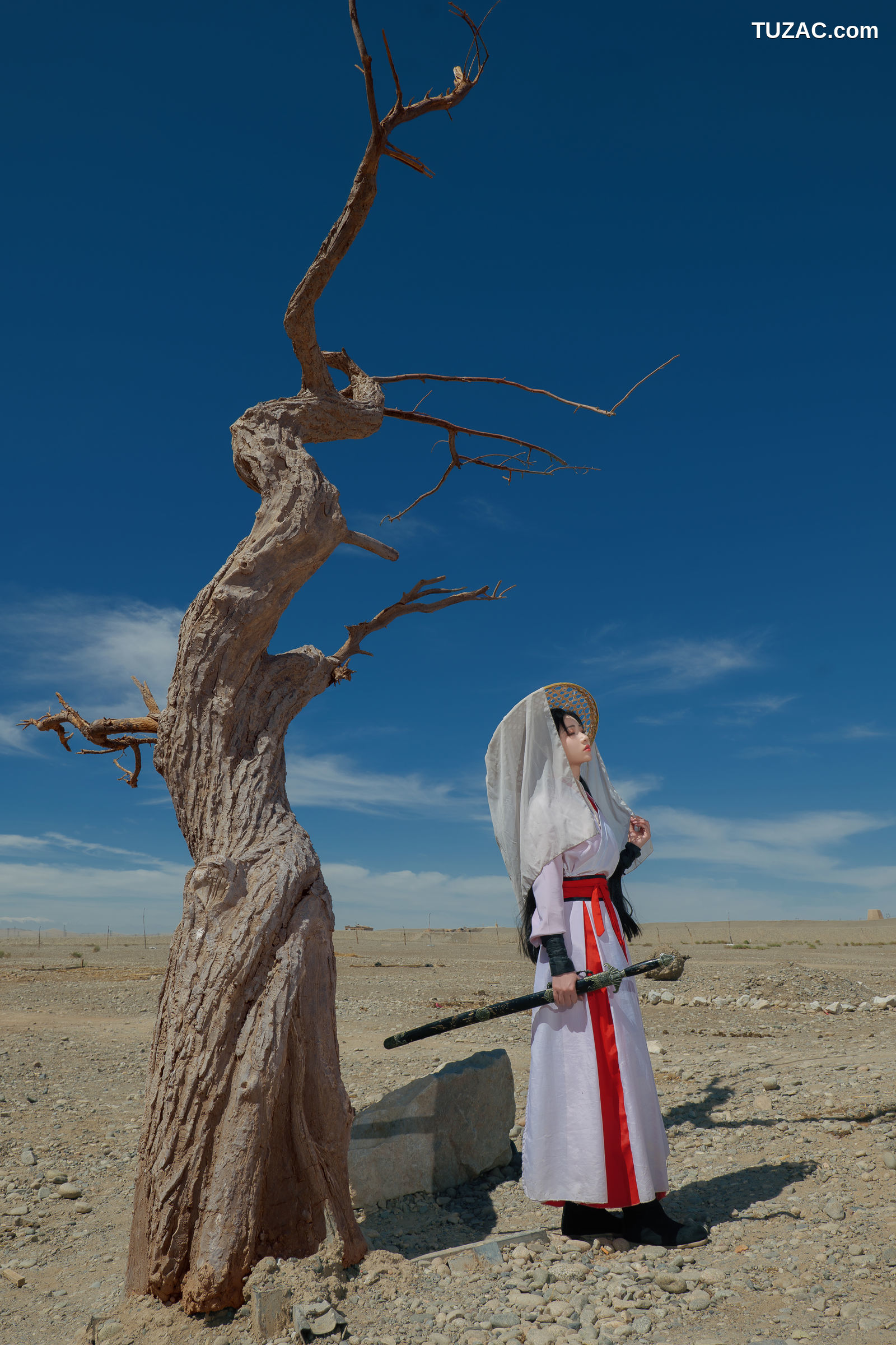 年年Nnian-青丝诀