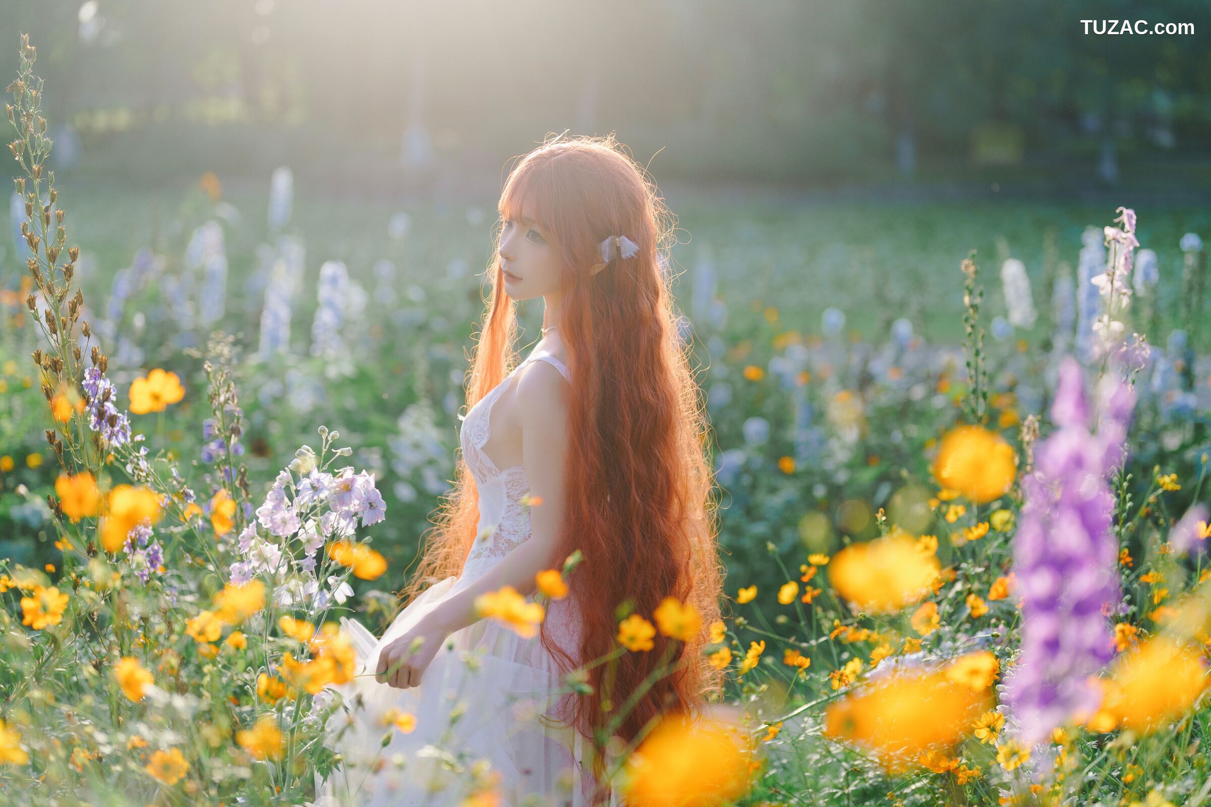 蠢沫沫-花丛婚纱