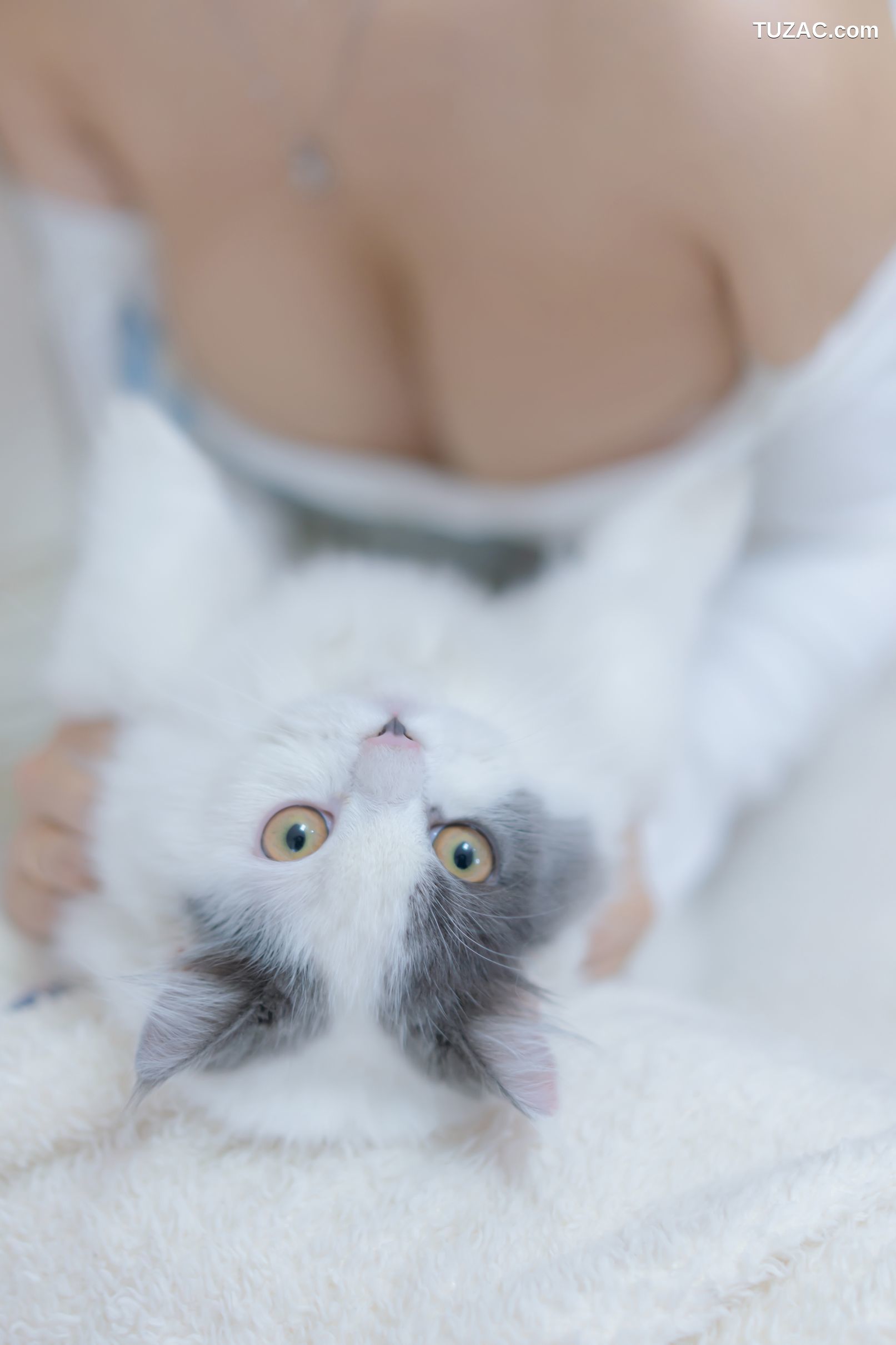 过期米线线喵-我和猫