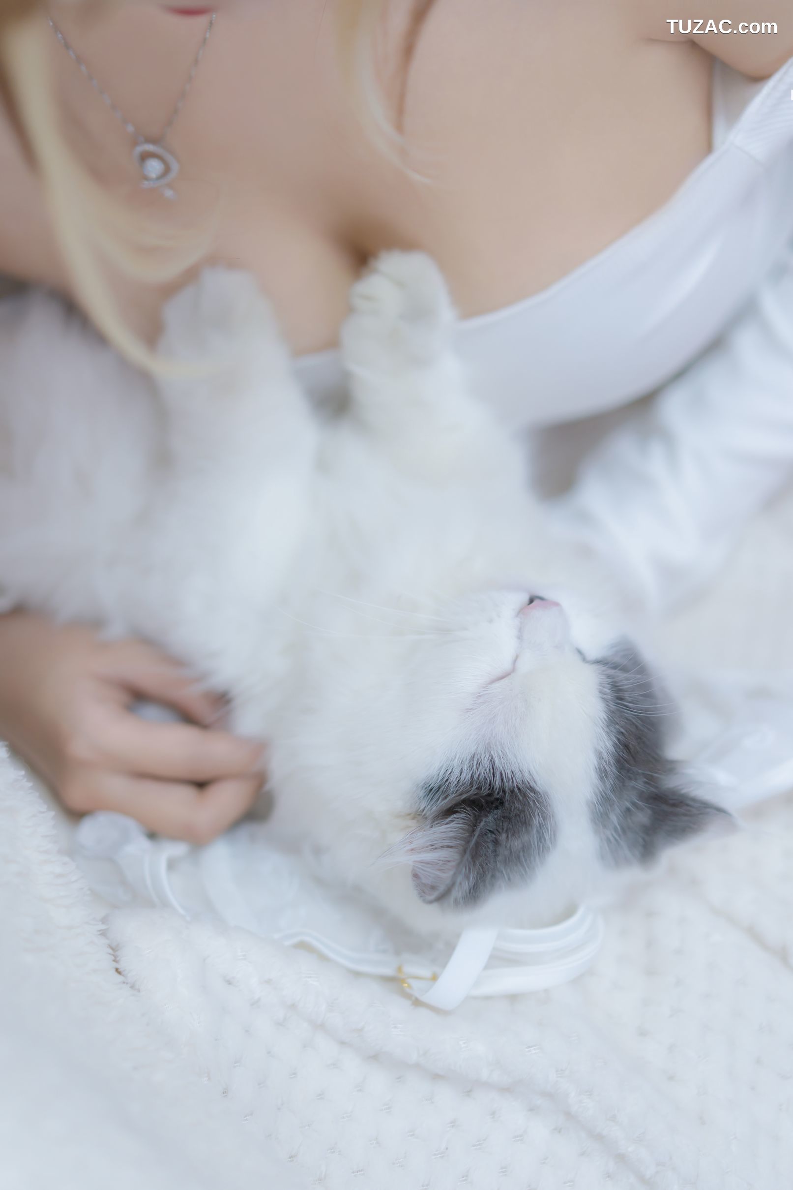 过期米线线喵-我和猫