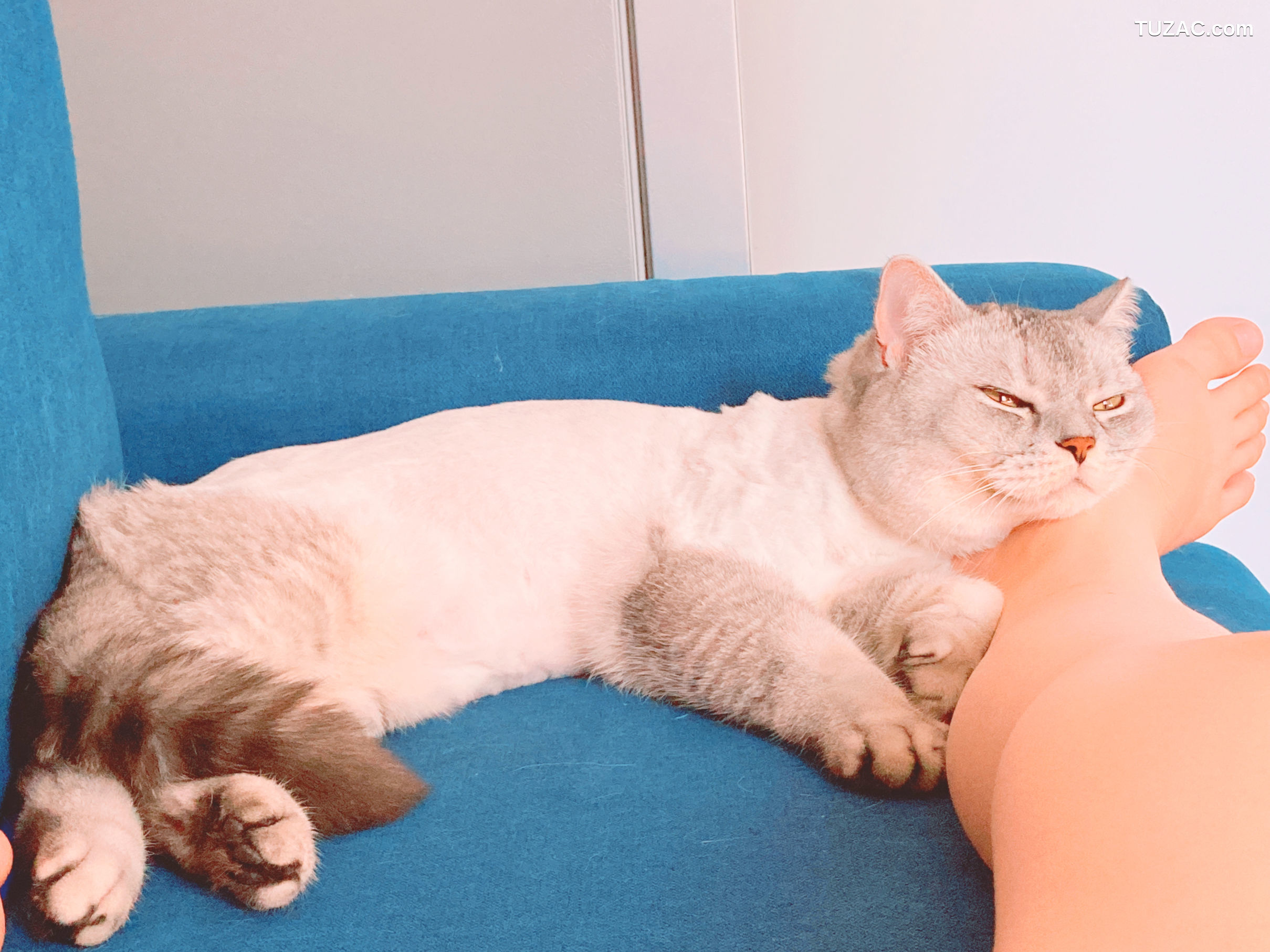 Fantasy-Factory-小丁Ding-2020.06-泄露版-Patreon-Leaks