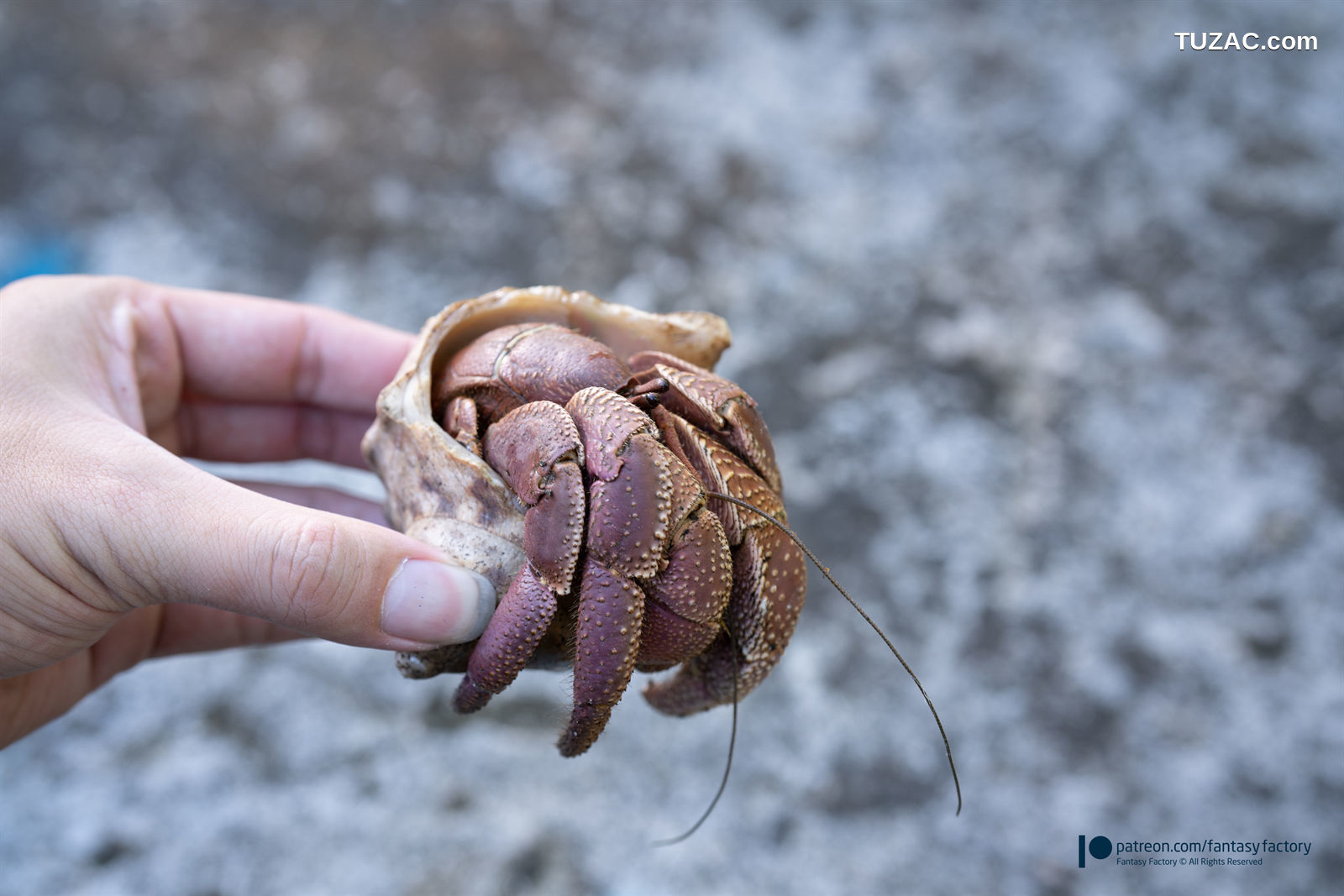 Fantasy-Factory-小丁Ding《Taiwan-Green-Islands》-台湾绿岛行-2020.11