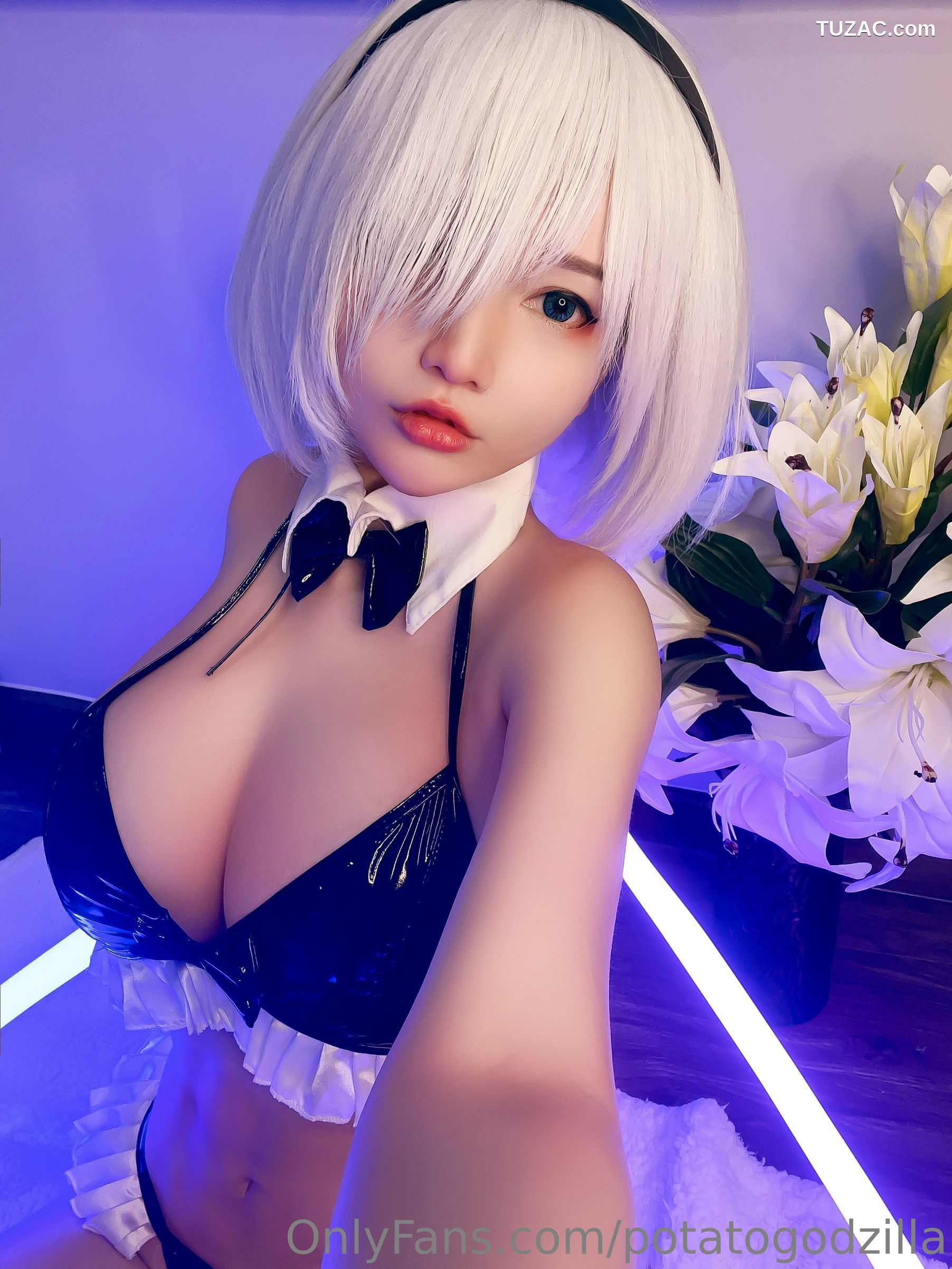 Potato-Godzilla-2B-Maid-Bikini