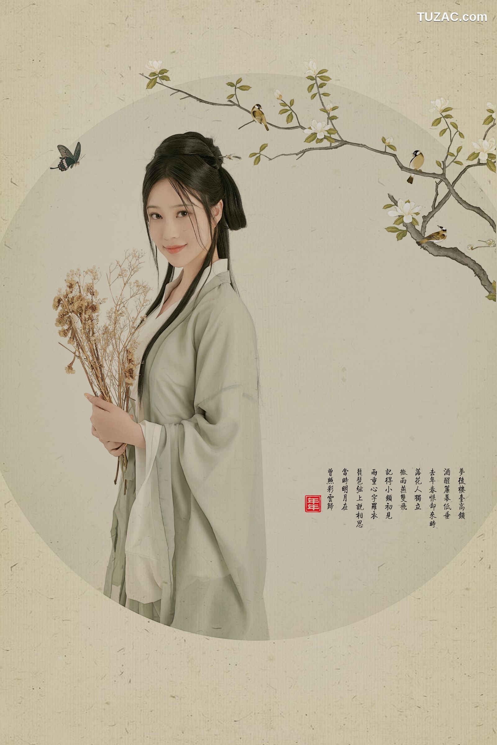 年年-白玉兰