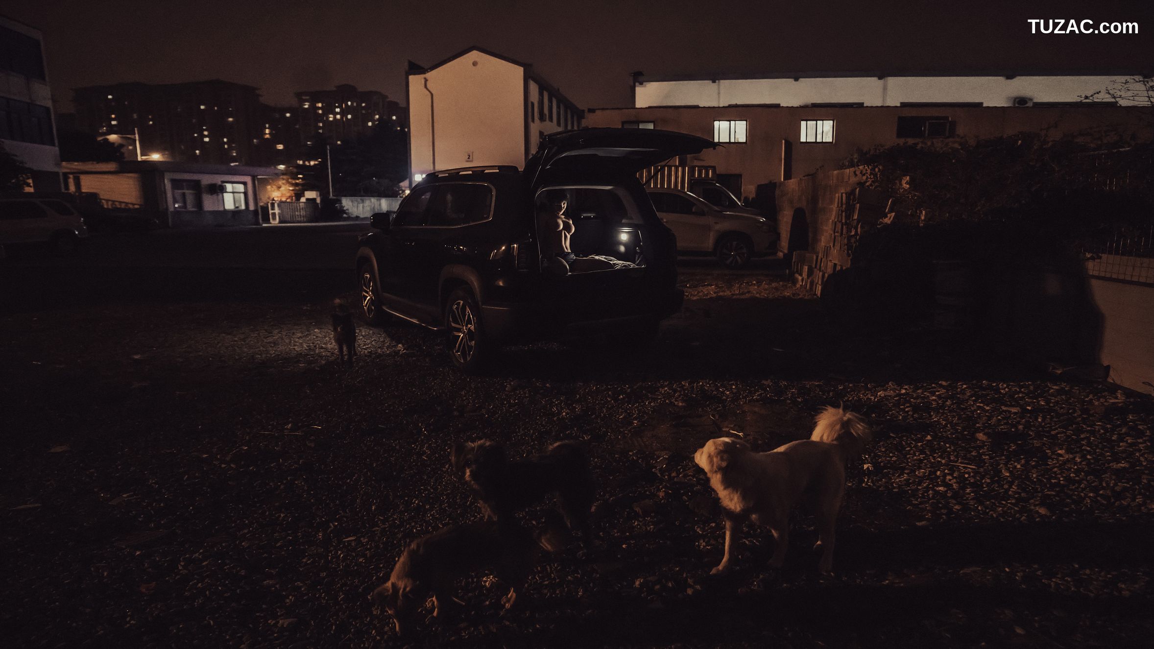 晕崽Zz-工地日记