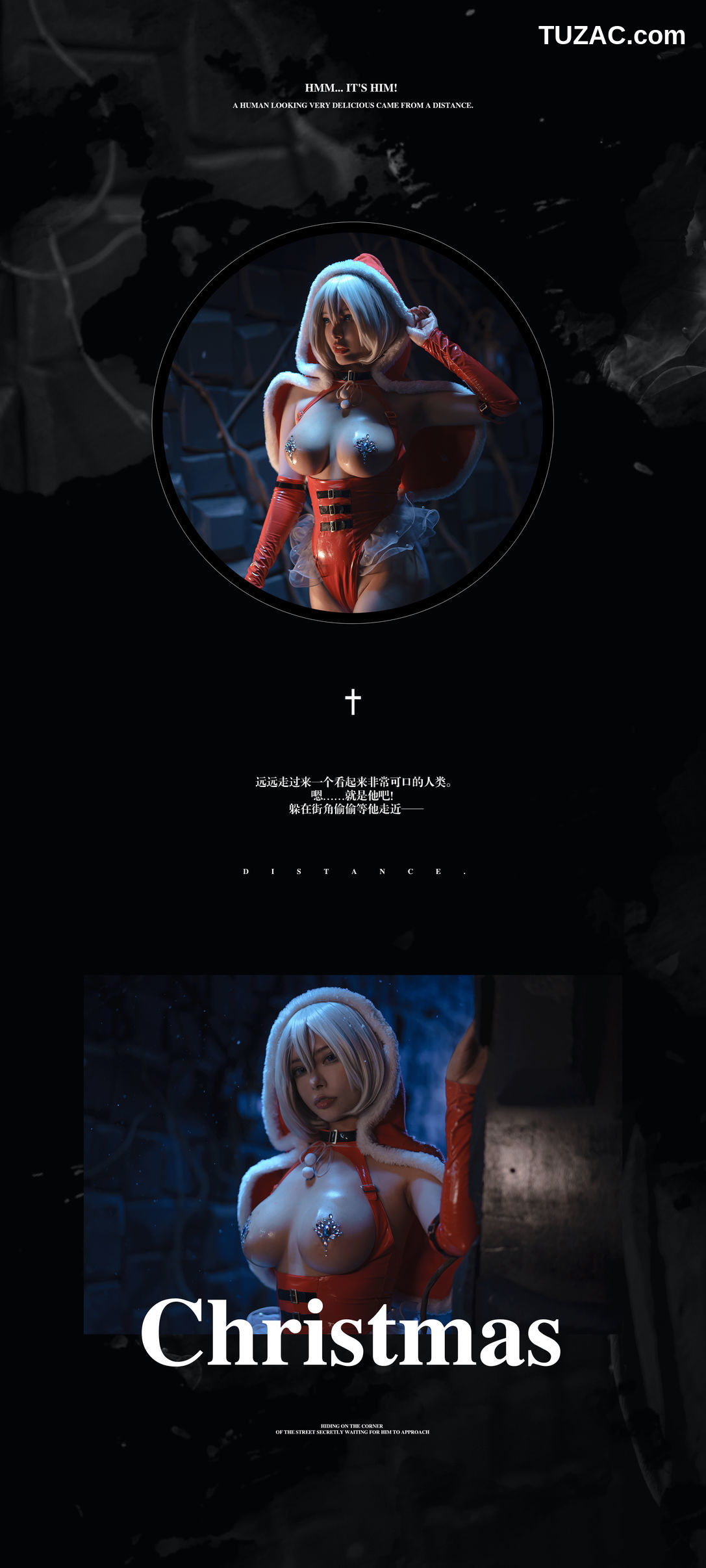秋和柯基-2B