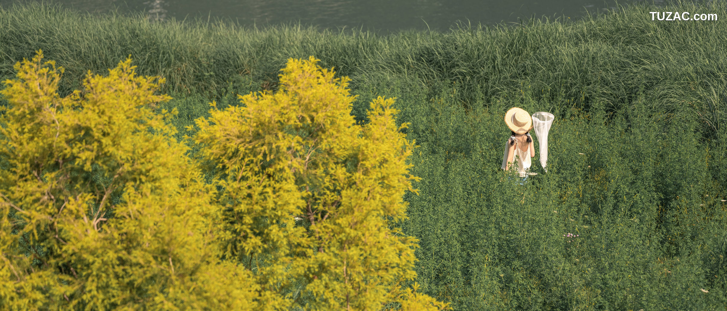 蠢沫沫-乡下妹妹