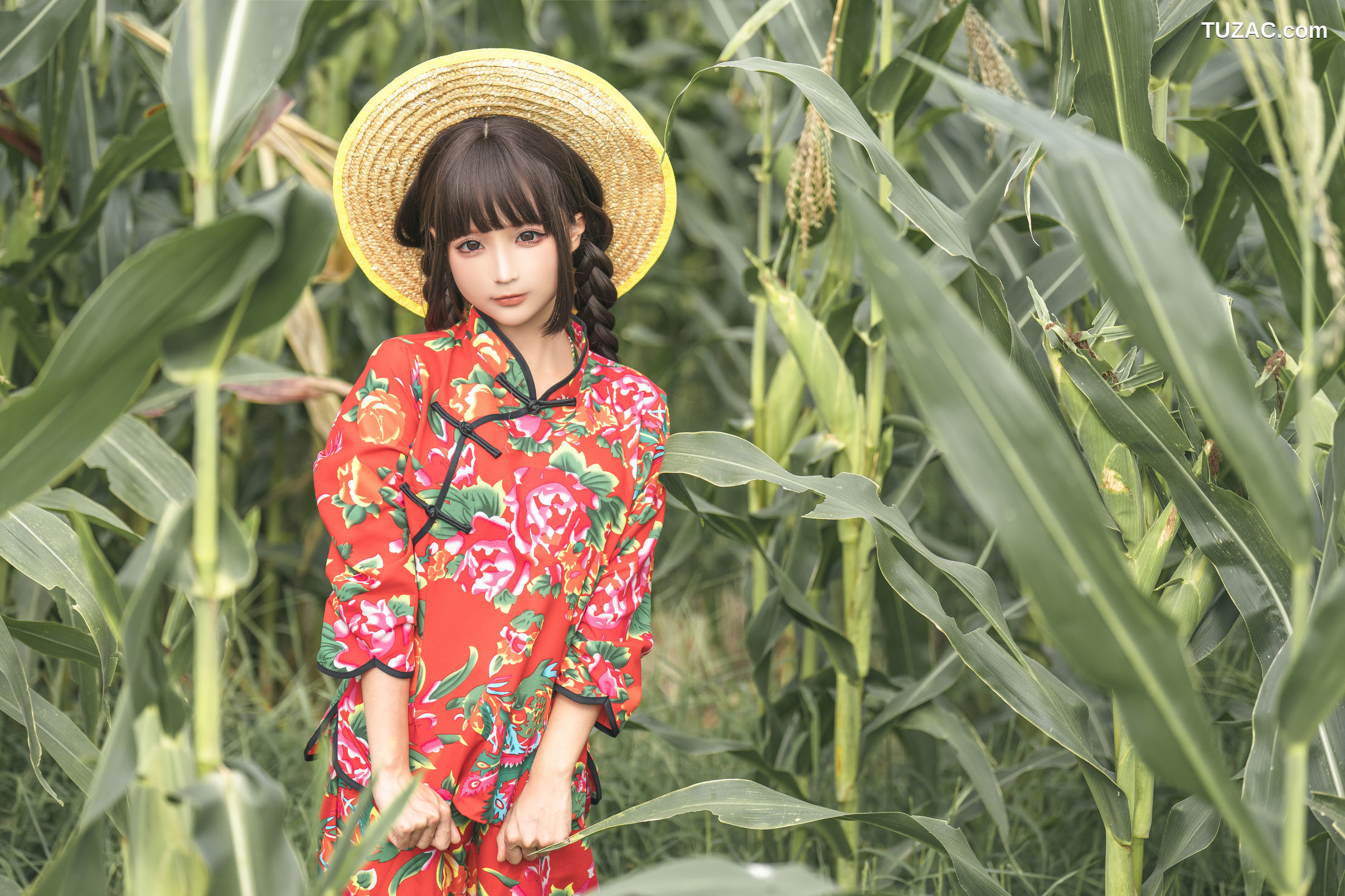 蠢沫沫-苞米地的故事