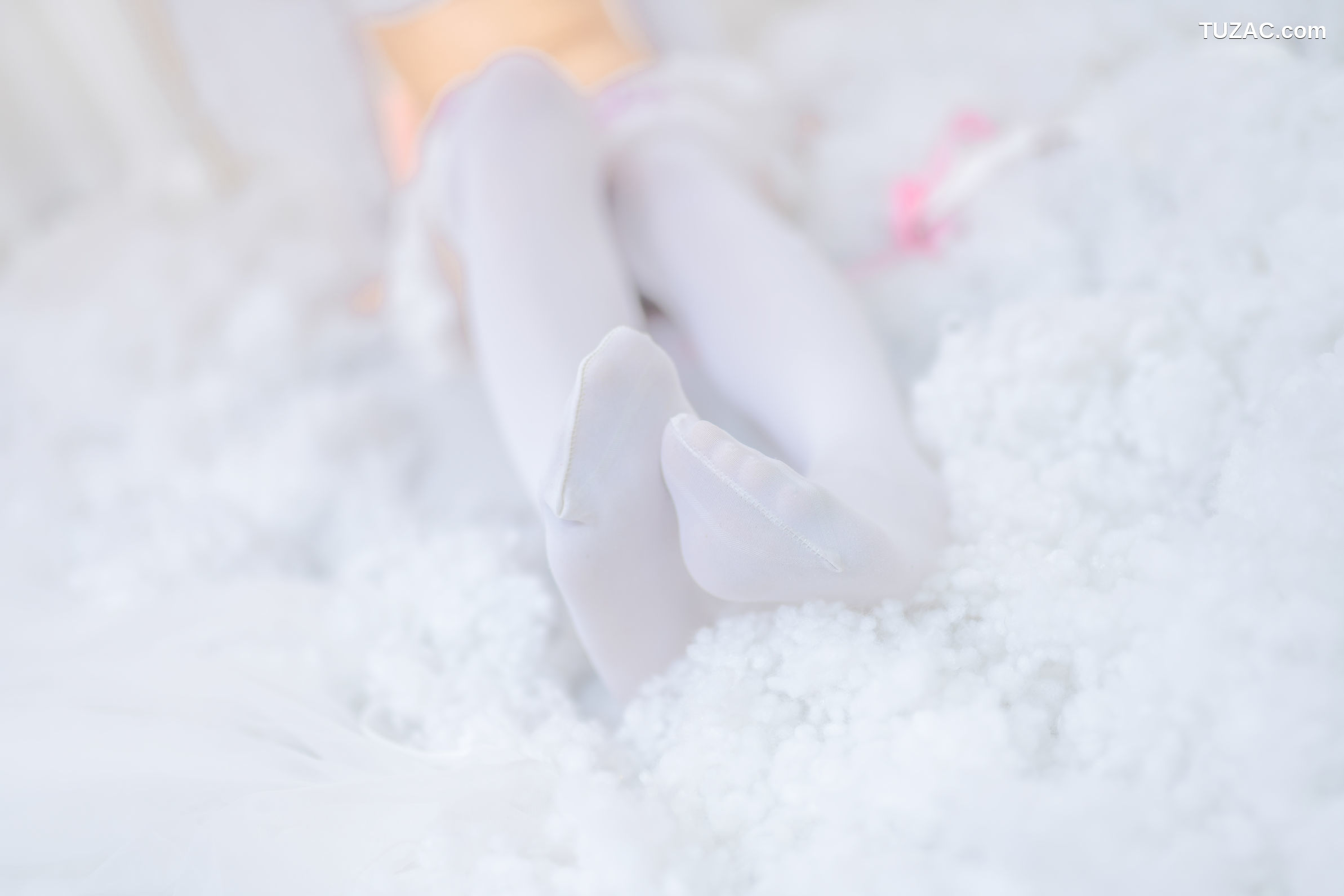 蠢沫沫-蕾姆花嫁