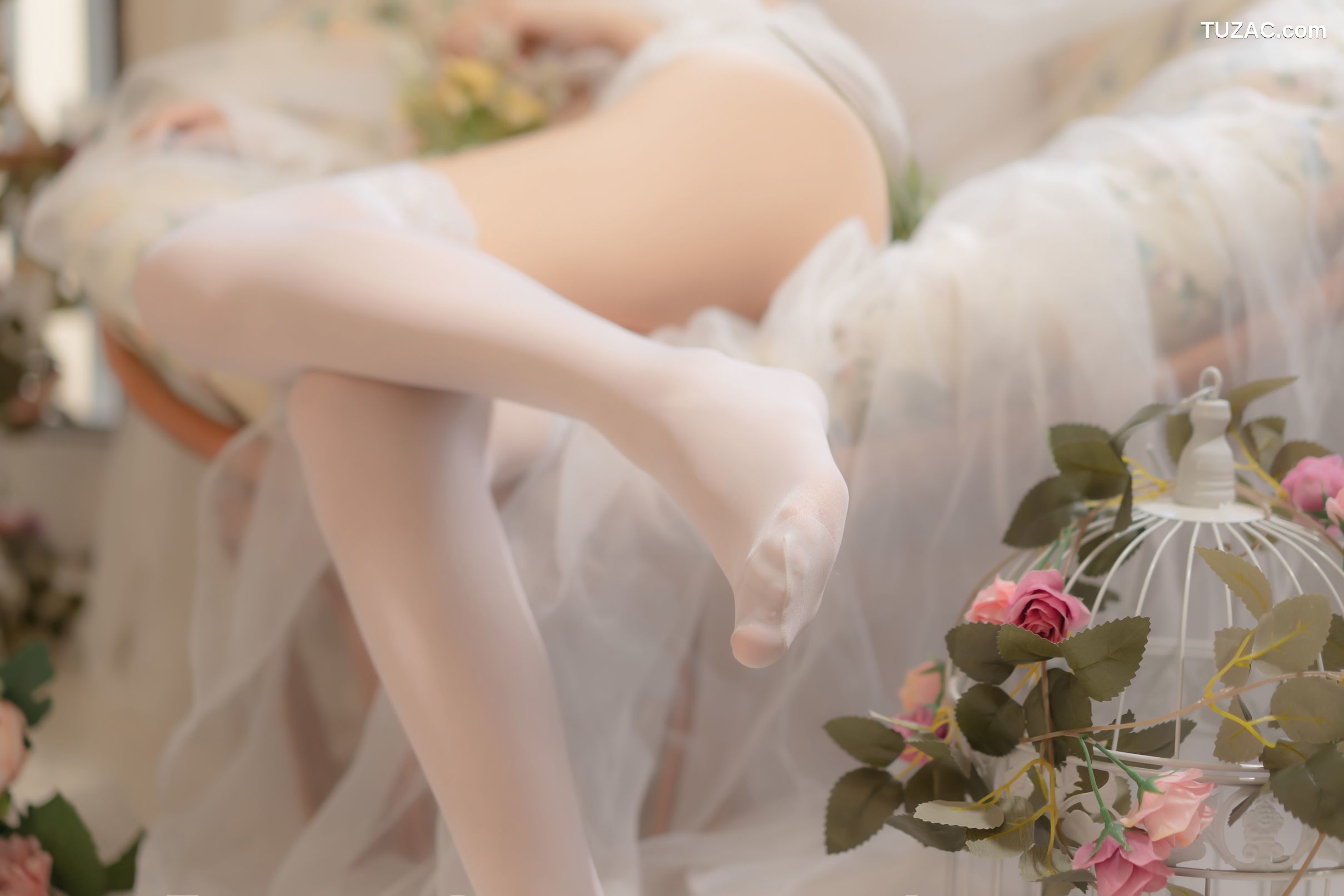 过期米线线喵-坠落天使