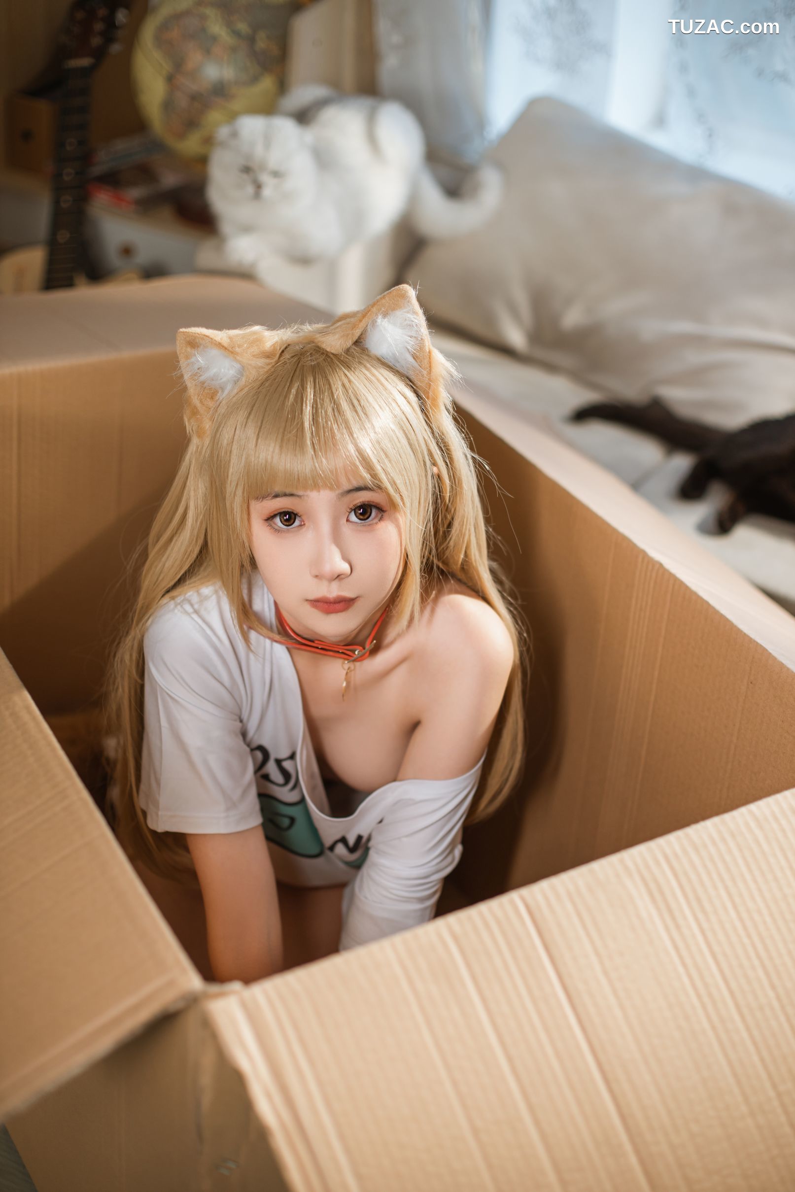 金鱼kinngyo-017-猫-花音栗子