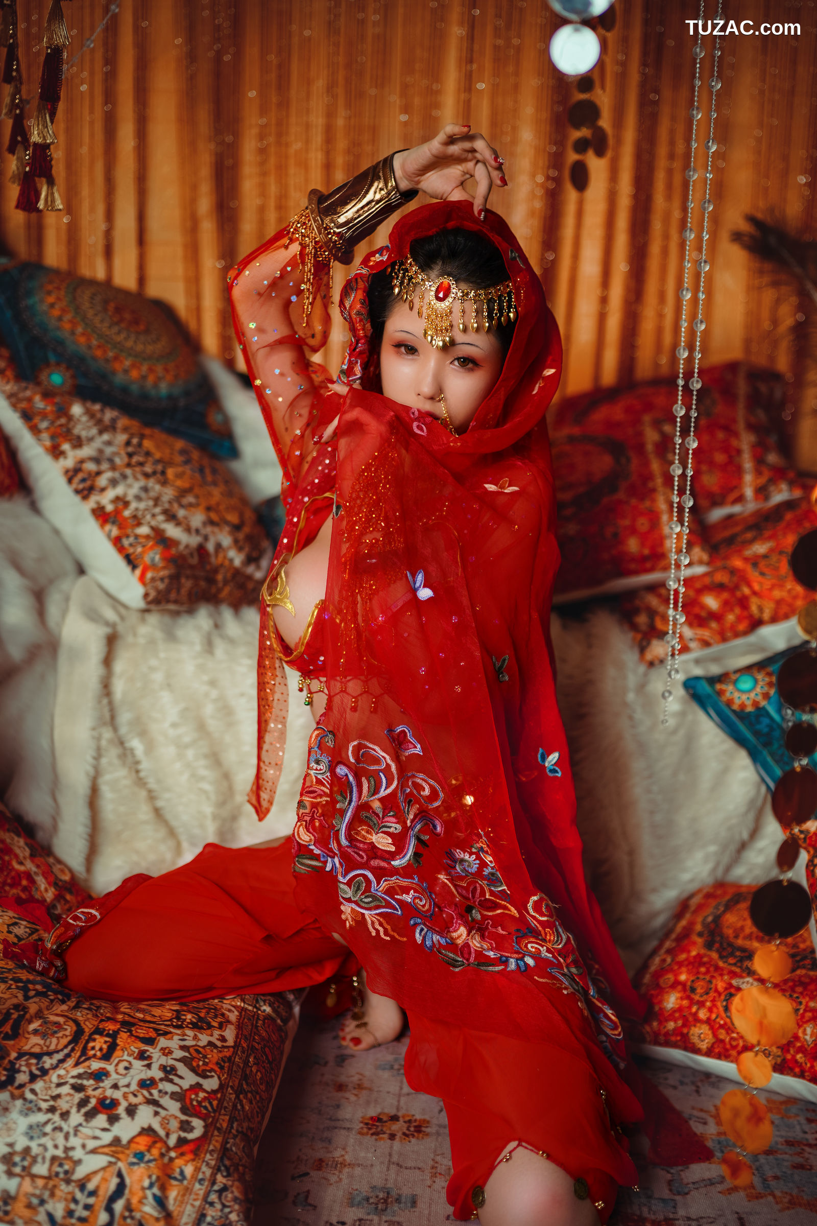 钛合金TiTi-塞上红鸾