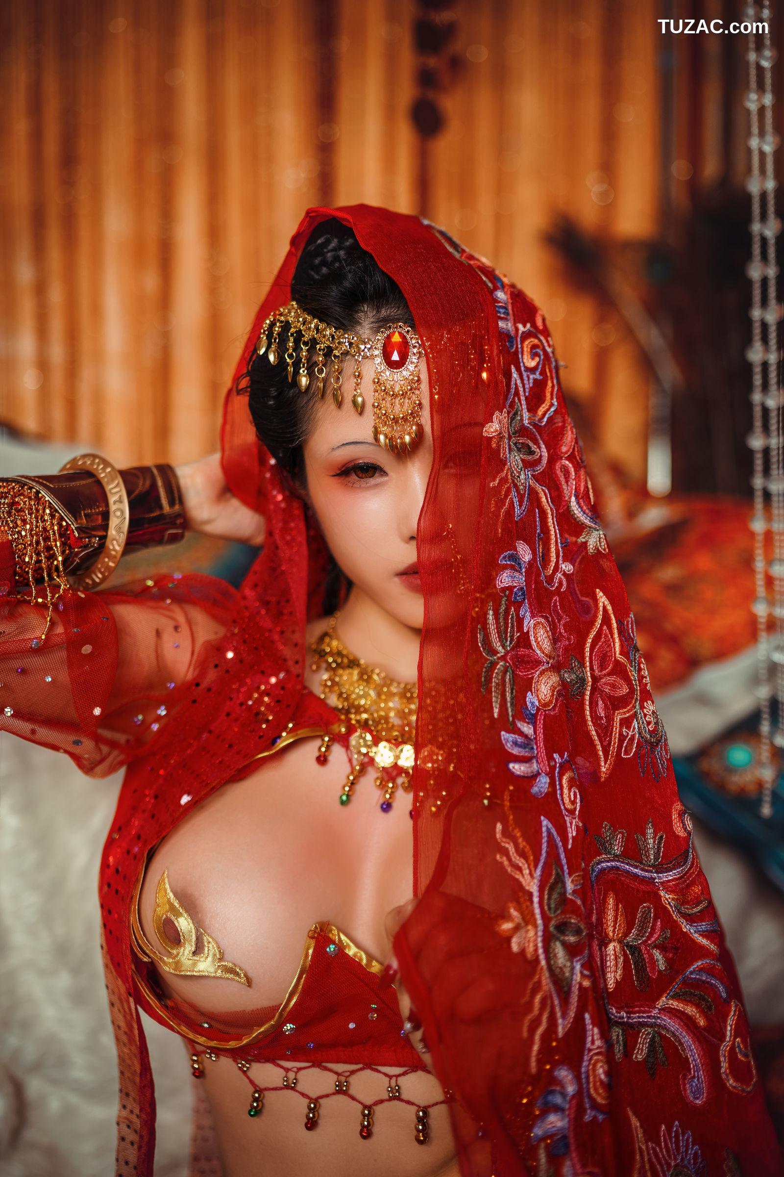 钛合金TiTi-塞上红鸾