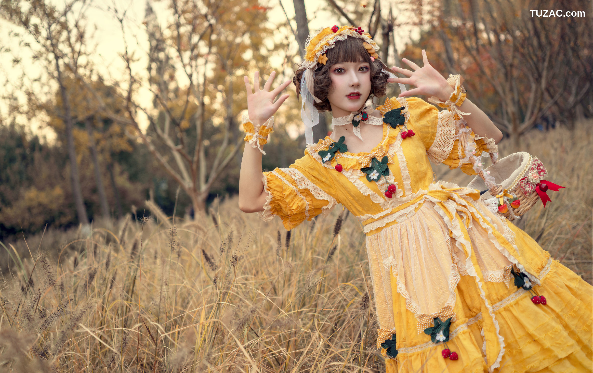 阿包也是兔娘-No.04-lolita黄裙-12P