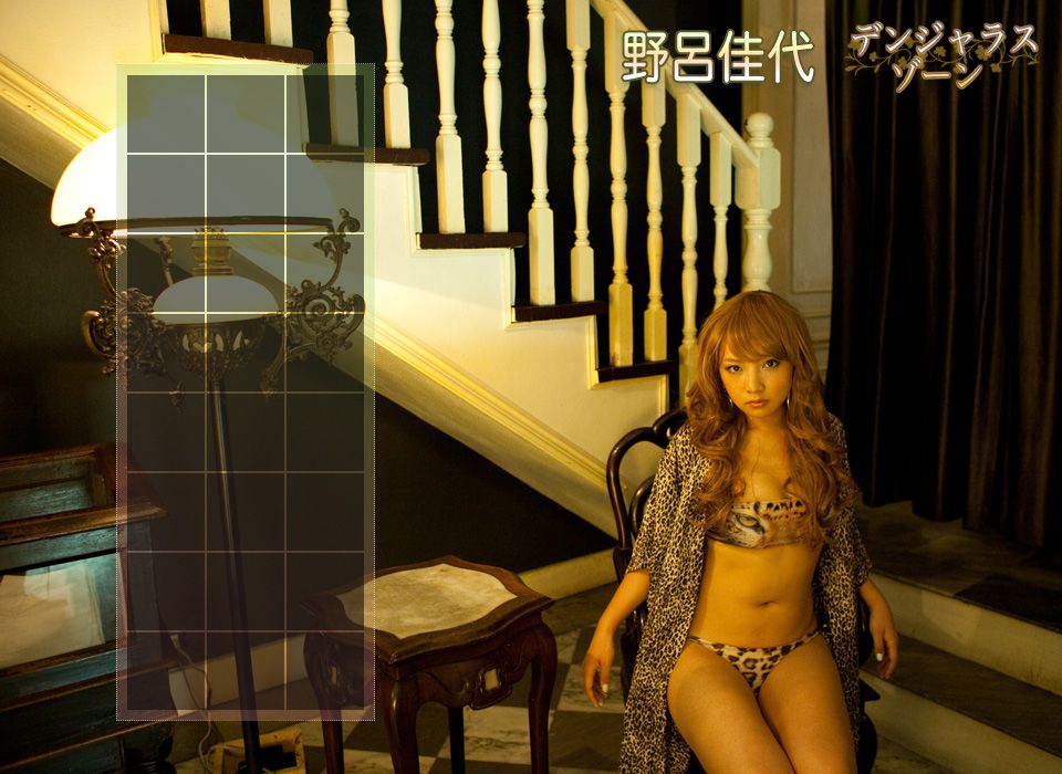 Image.tv_野呂佳代/野吕佳代 《デンヅャラス・ゾーソ》 写真集[67P]